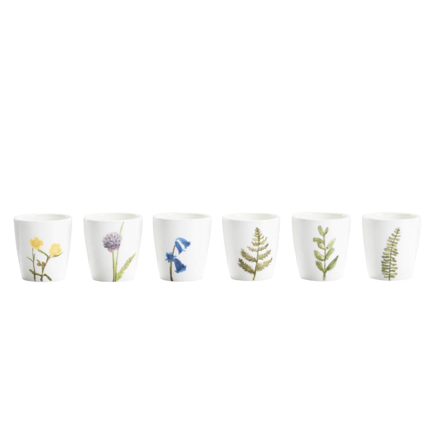 Neutrals Botanical Eggcups - Set Of 6 Helen Beard