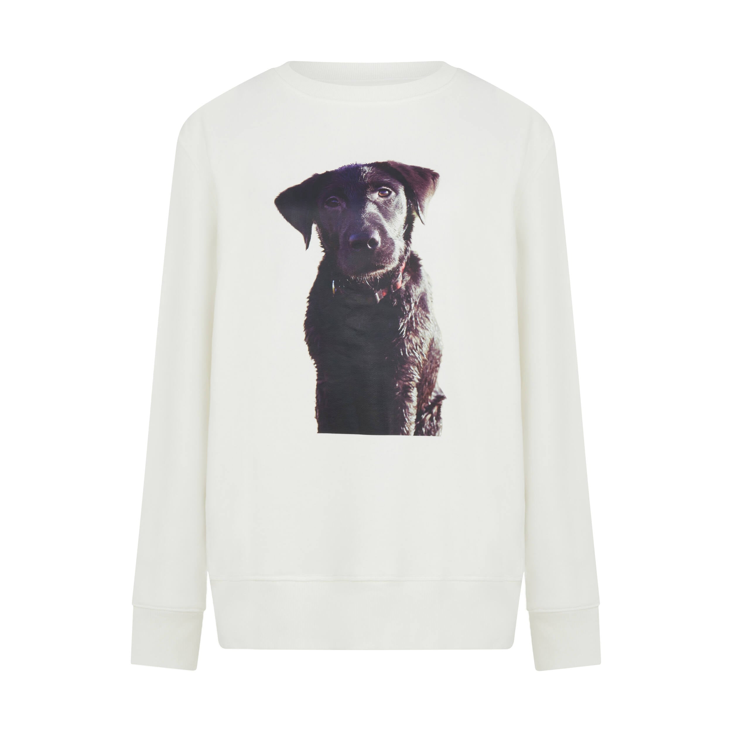 Women’s Labrador Puppy Print Unisex Sweatshirt In White Large Sour Figs