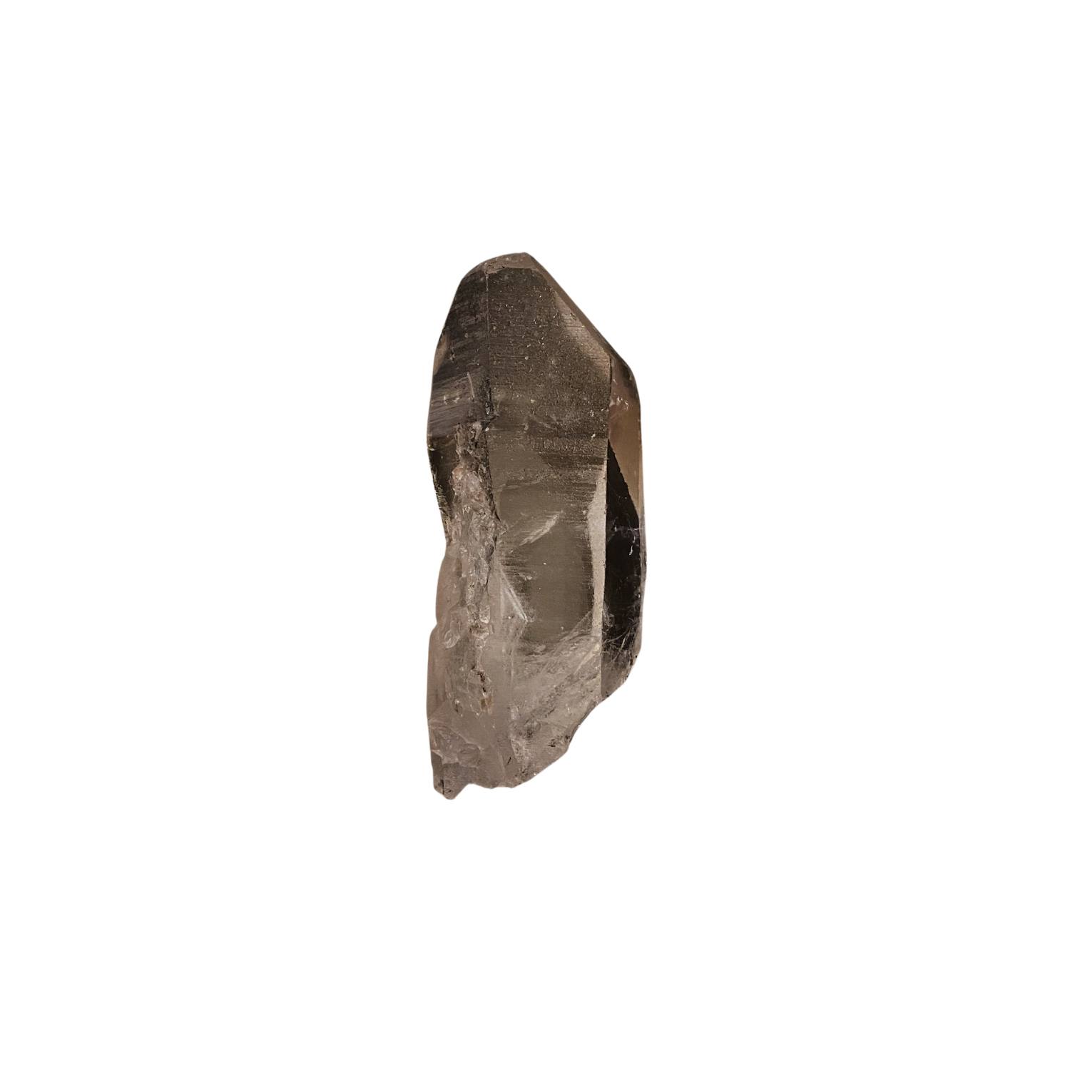 Lemuria Store Neutrals Lemurian Seed Quartz 118g In Green