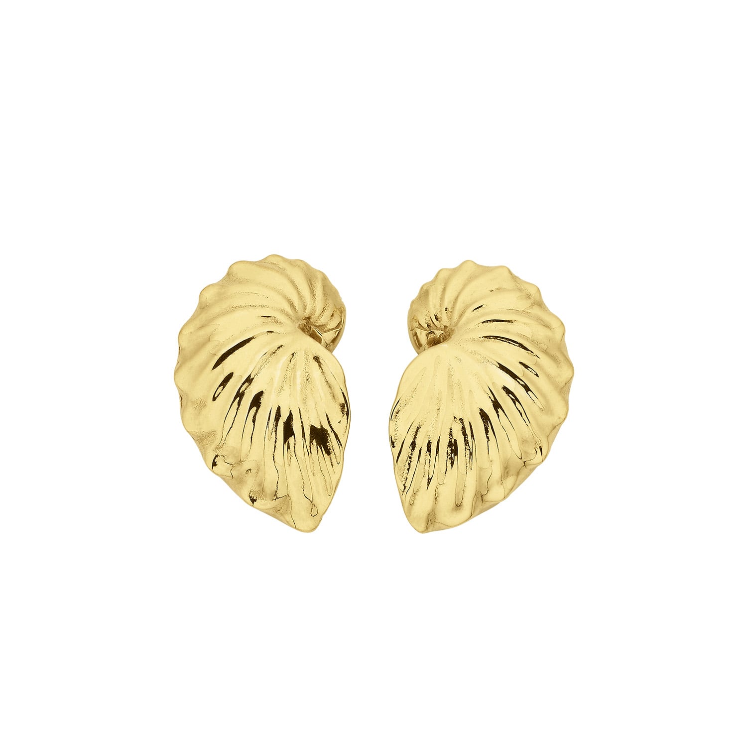 Zoe And Morgan Women's Paper Nautilus Earrings Gold In Gold