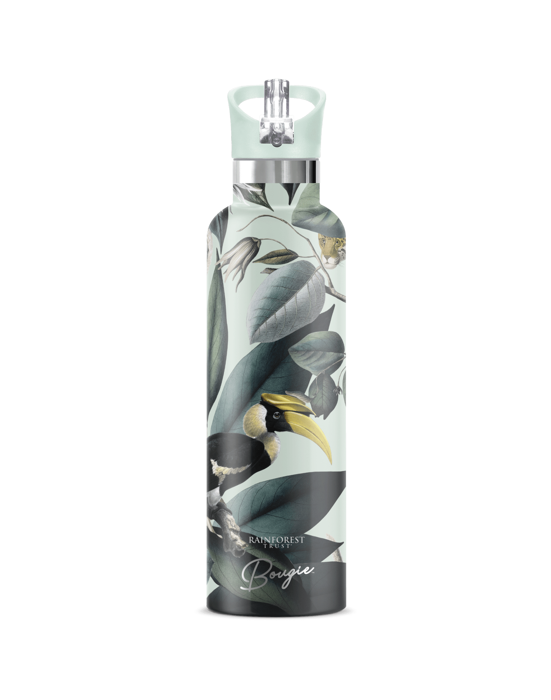My Bougie Bottle Women's Green Rainforest Trust Jungle Insulated Water Bottle Jade Lid In Green