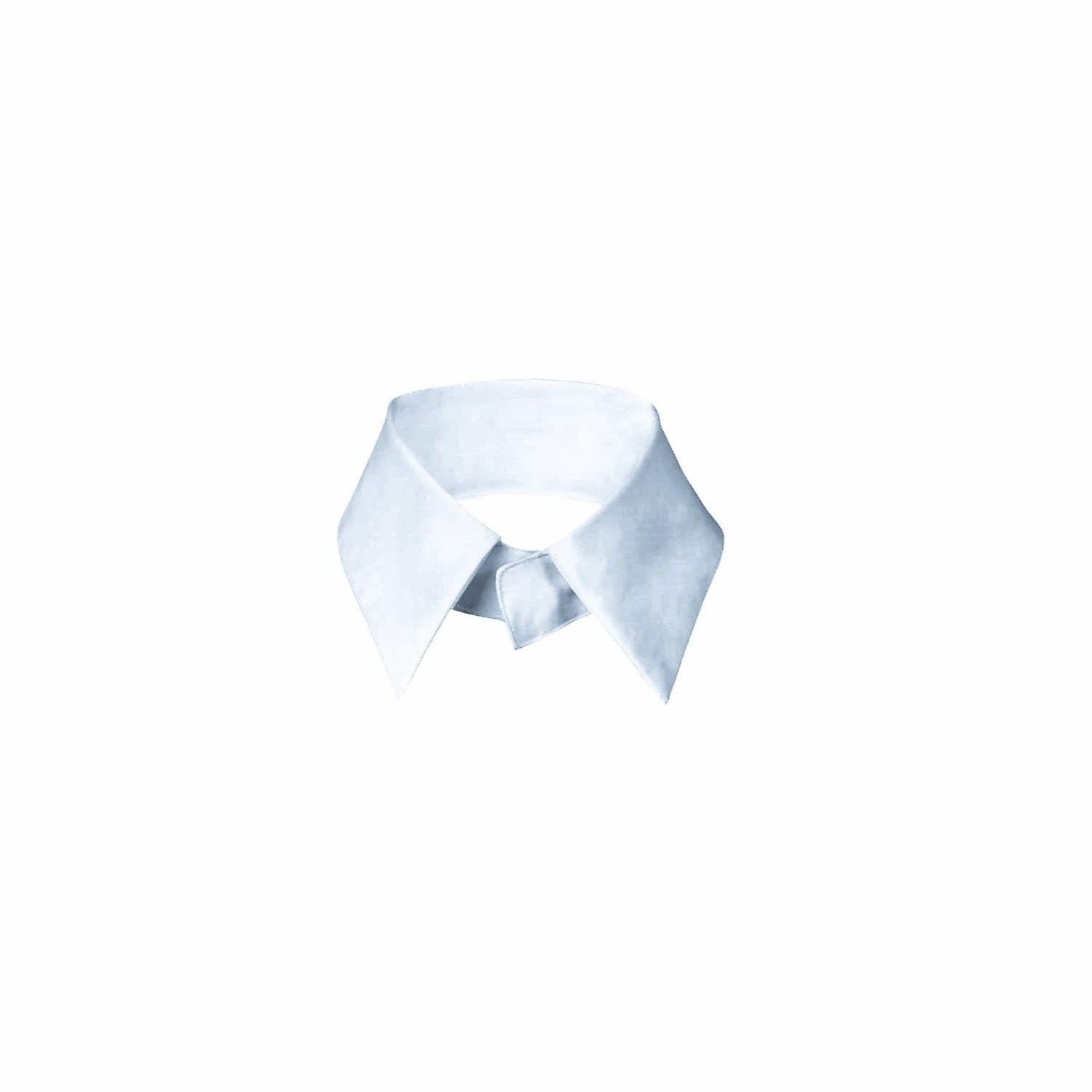 Numbat Women's Removable Collar - White In White