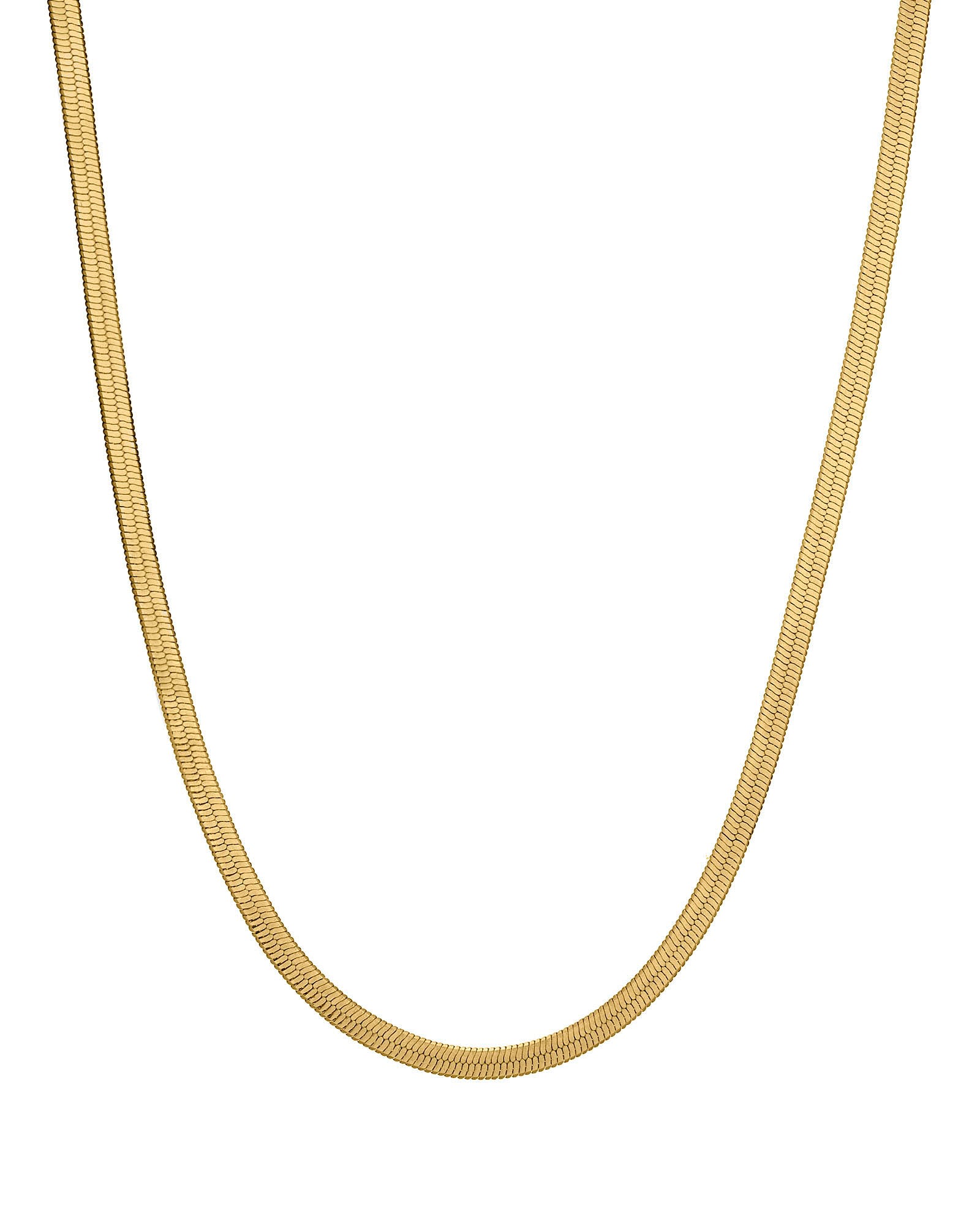 Crystals And Co Women's Fine Gold Herringbone Necklace - Jw In Yellow