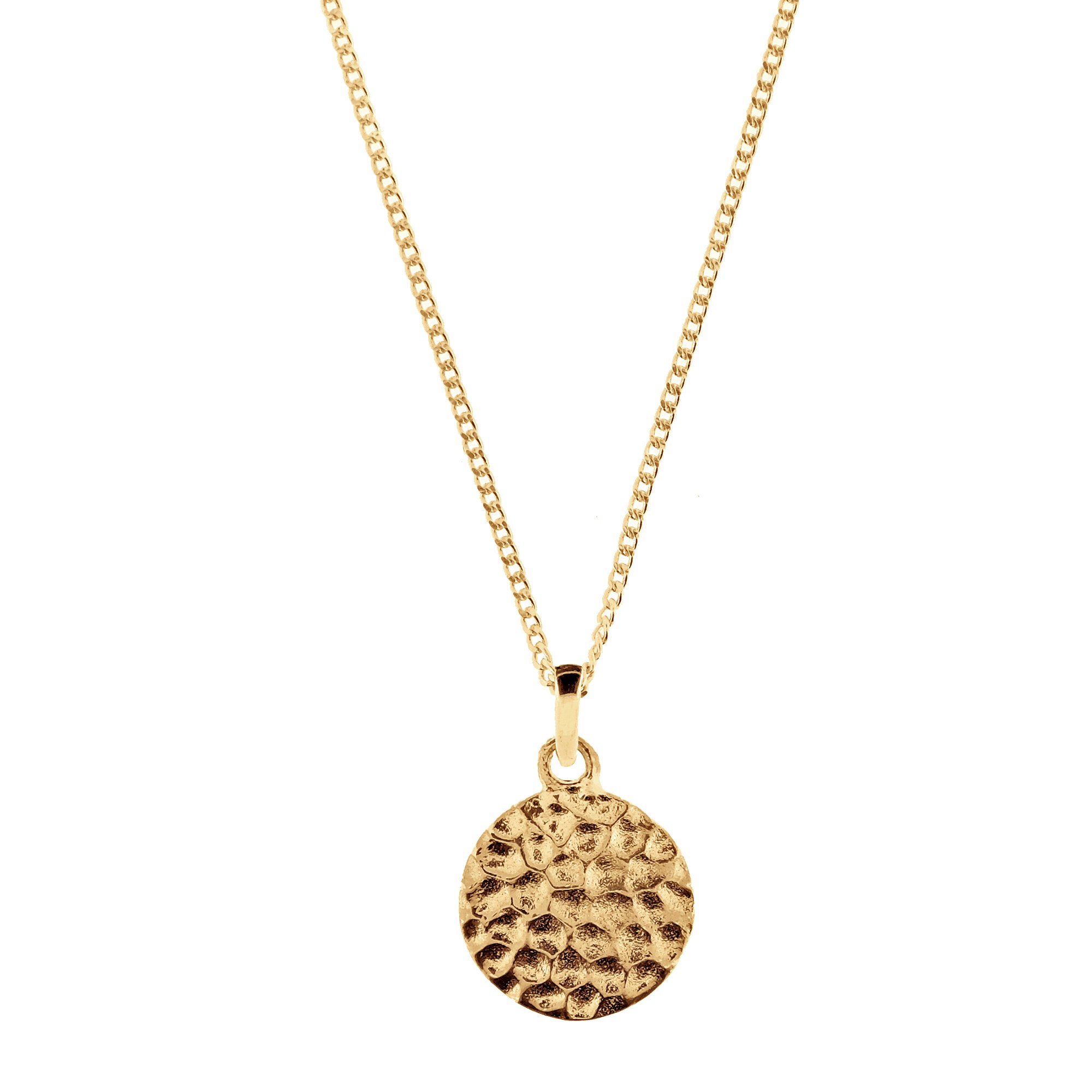 Women’s Lakshmi Hammered Disc Gold Vermeil Necklace Charlotte’s Web Jewellery