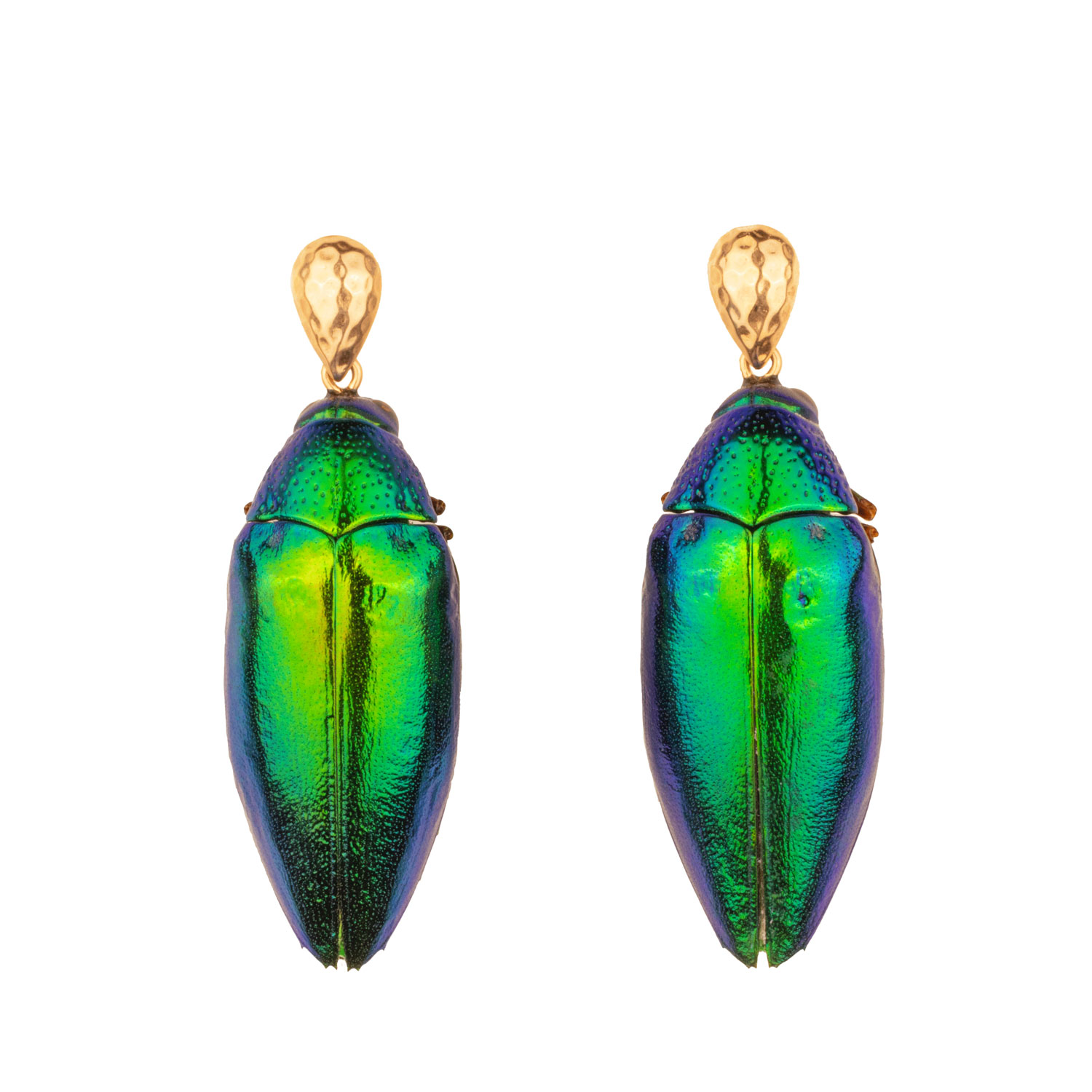 Oanasavu.creations Women's Gold / Green Real Beetle Scarab Insect Drop Earrings Gold Ear Studs