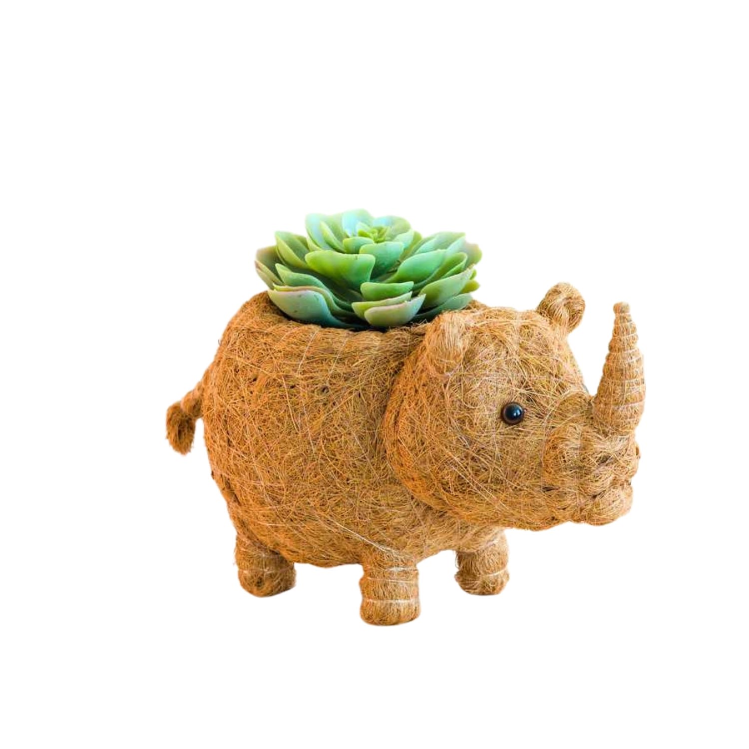 Likha Brown Coco Coir Animal Planter Rhino