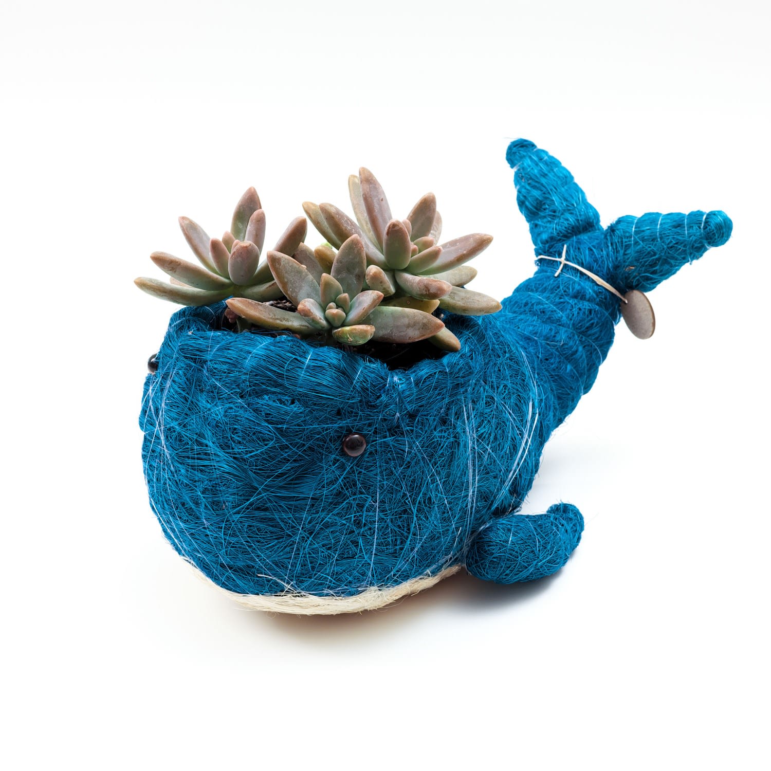 Blue Coco Coir Animal Planter Whale Likh