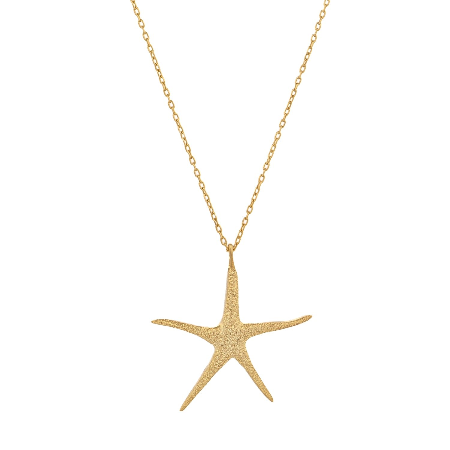 Ebru Jewelry Women's Sea Whisper Starfish Gold Vermeil Necklace - Gold In Gold