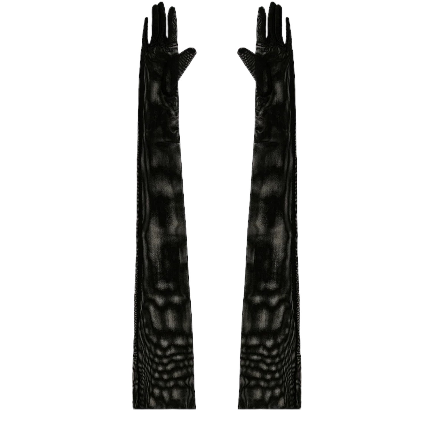 High Heel Jungle By Kathryn Eisman Women's The Lily Sheer Black Opera Glove In Black
