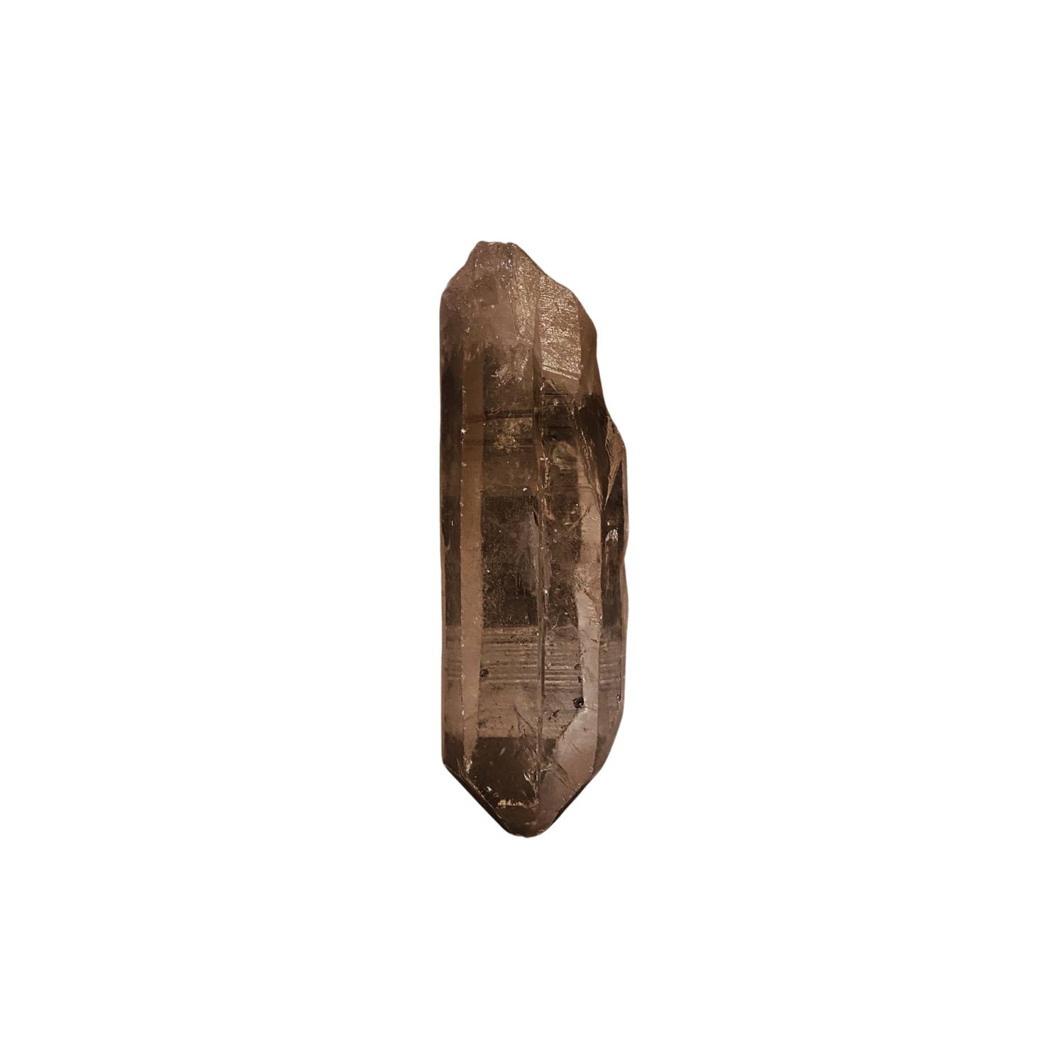 Lemuria Store Neutrals Lemurian Seed Quartz 241 In Green