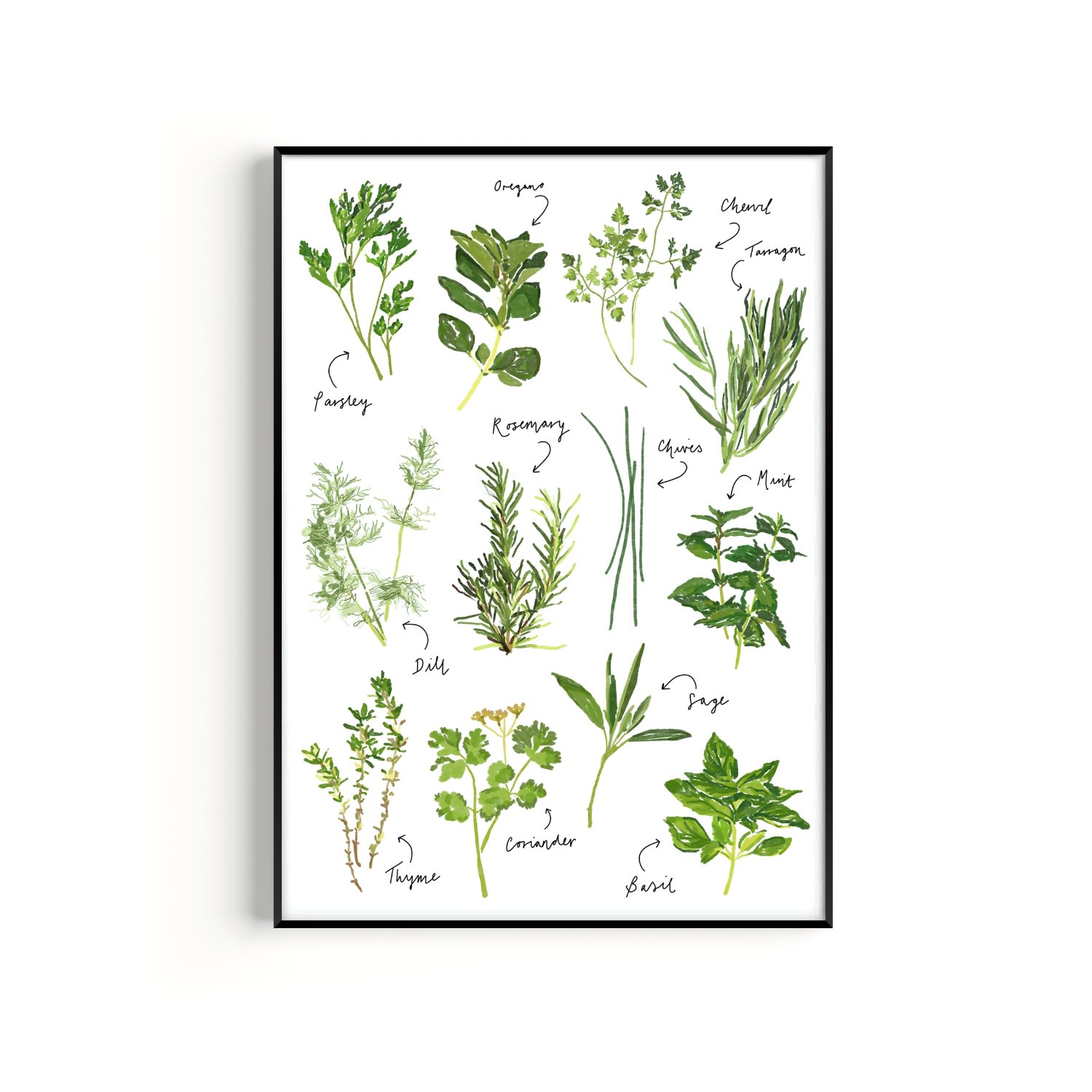 Green / Neutrals Herb Hand Painted Art Print - A2 Natalie Cass Art