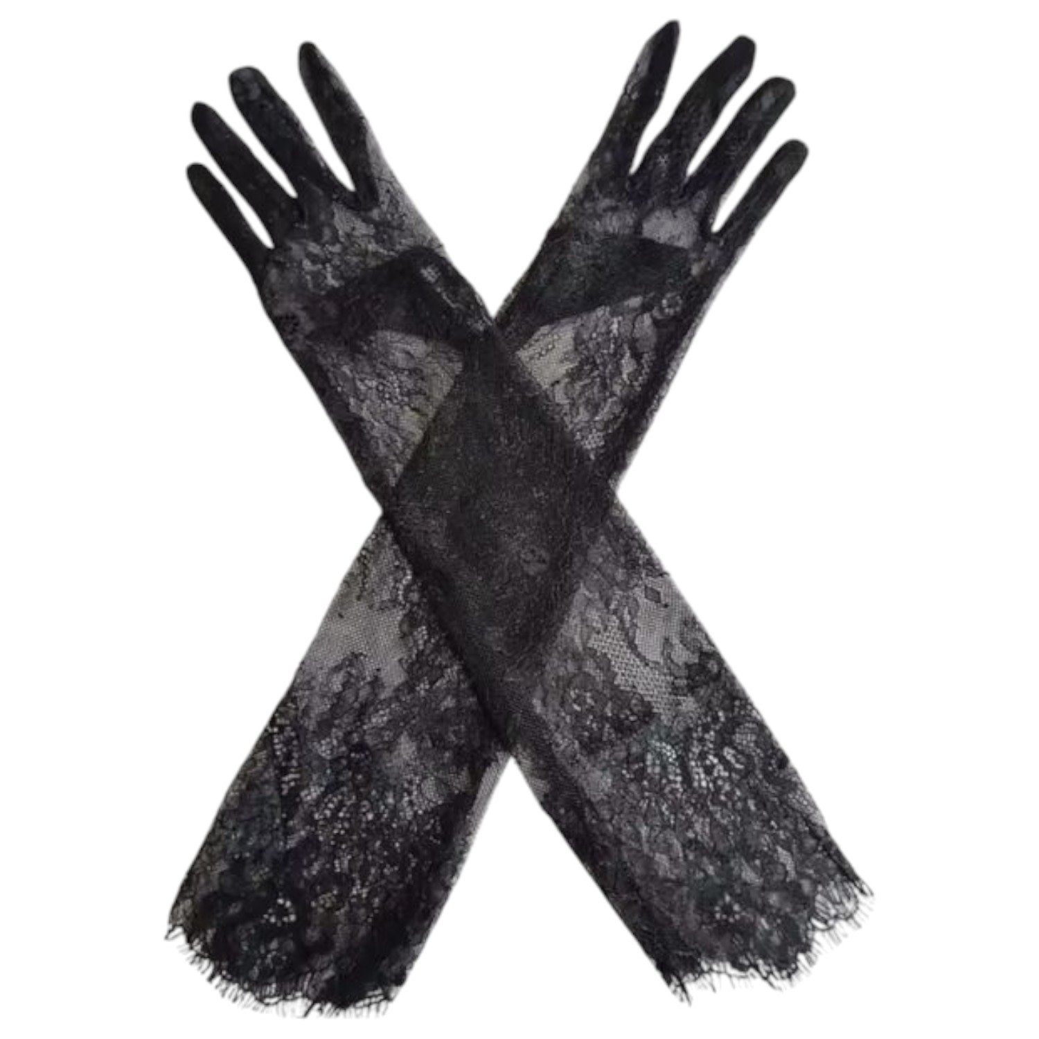 High Heel Jungle By Kathryn Eisman Women's Chantilly Lace Gloves Black