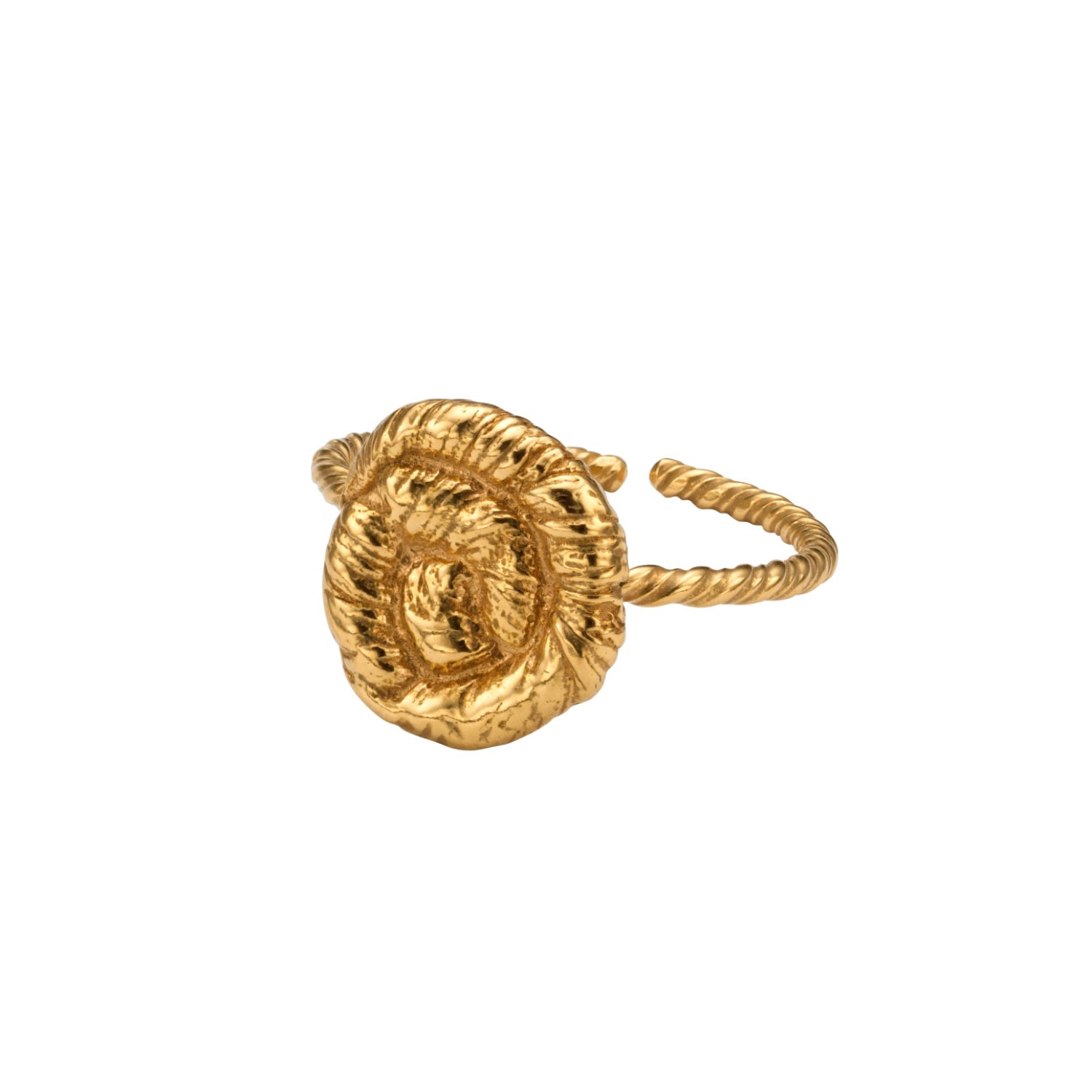 Shop Eva Remenyi Women's Nautilus Ring Gold