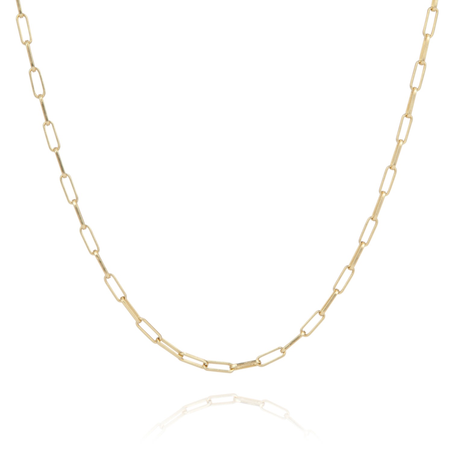 Coco & Kinney Women's Gold Long Robin Chain Necklace In Gold