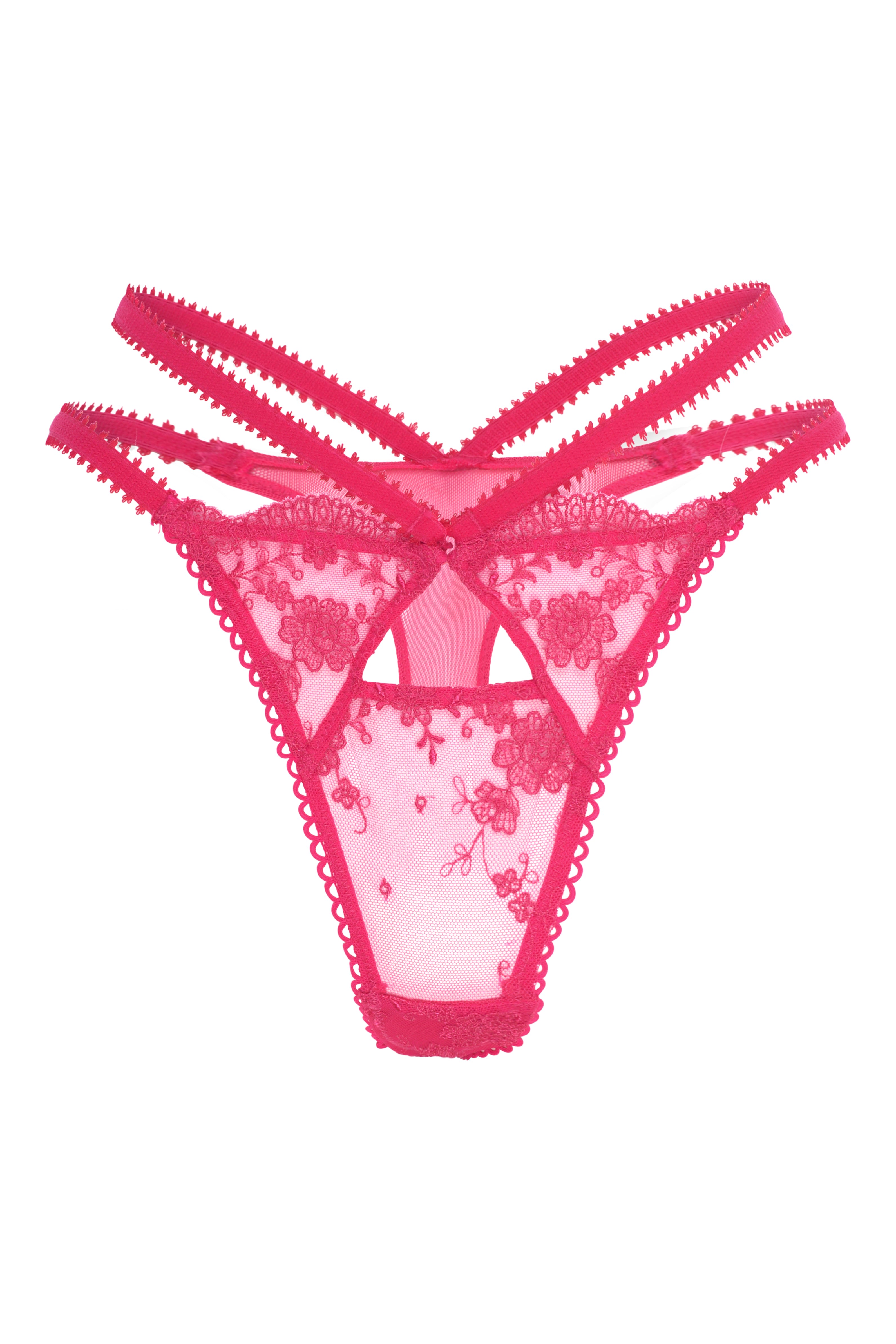 Wild Lovers London Women's Pink / Purple Isabella Brief In Pink/purple