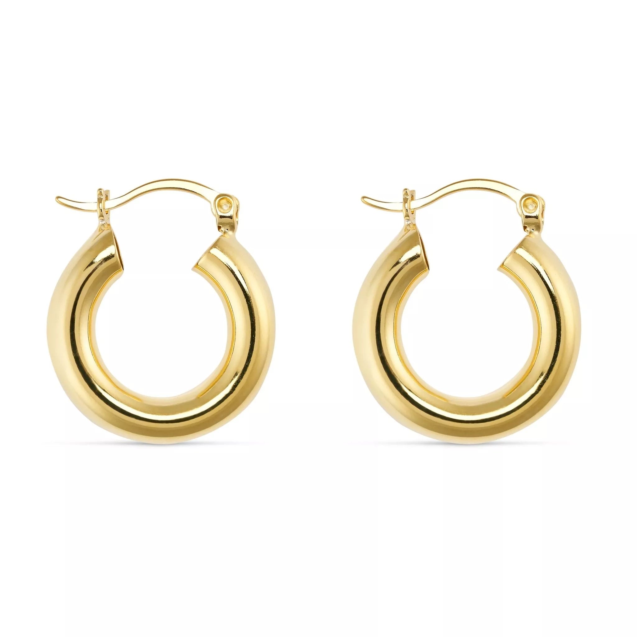 Small gold sales thick hoops