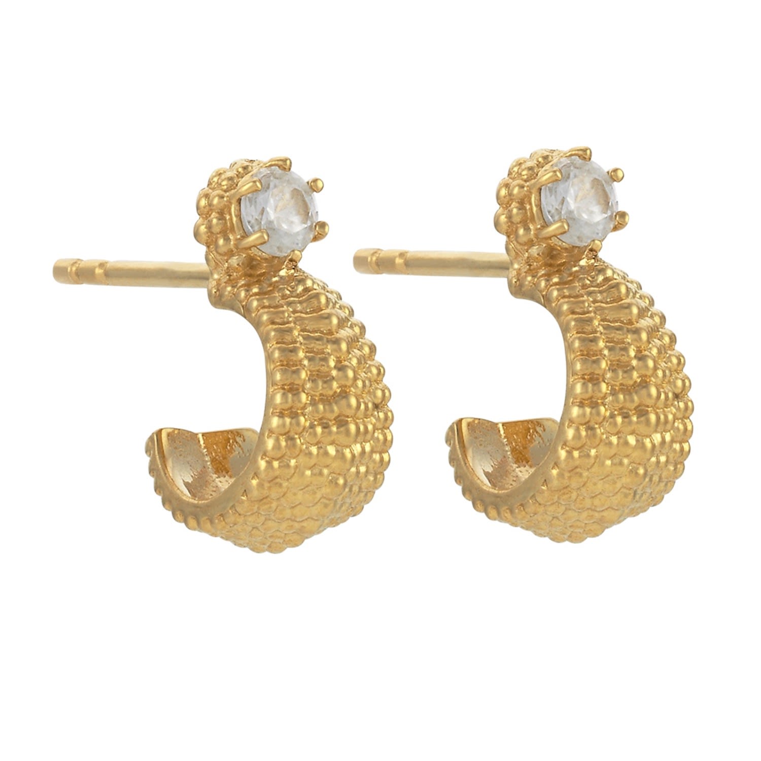 Women’s Gold / White Sundar Earrings Gold White Zircon Zoe and Morgan