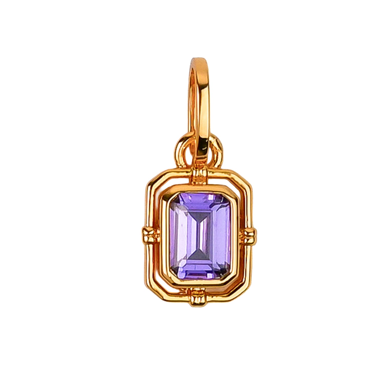 Zynnia Collective Women's Gold / Purple February/ Amethyst Birthstone Charm In Gold
