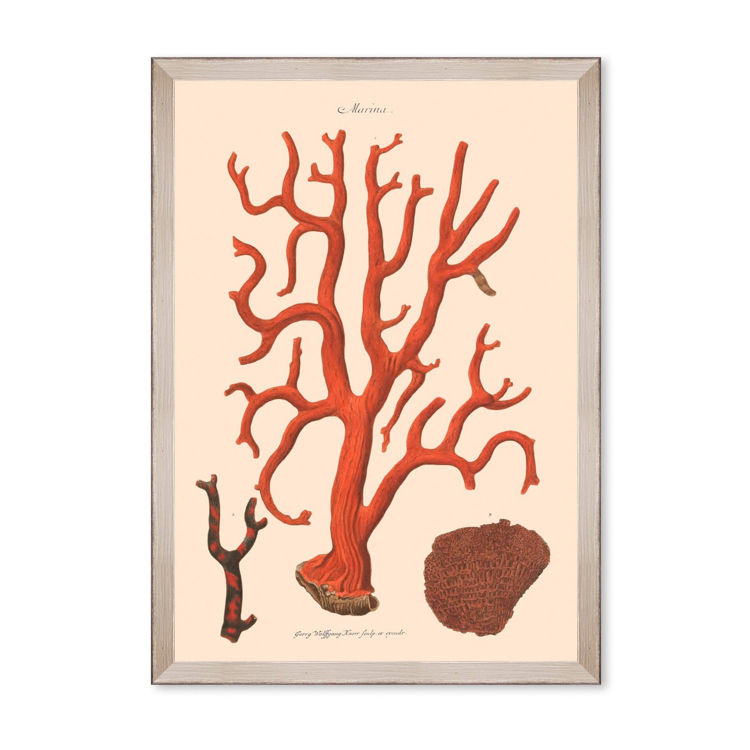 Mindthegap Neutrals Deliciae Naturale Nine Framed Art In Multi