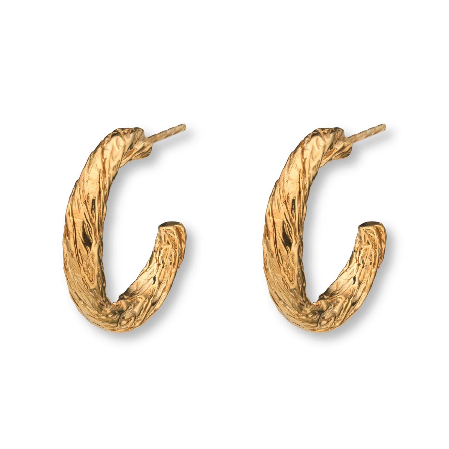 Shop Eva Remenyi Women's Archaic Small Hoop Earrings Gold