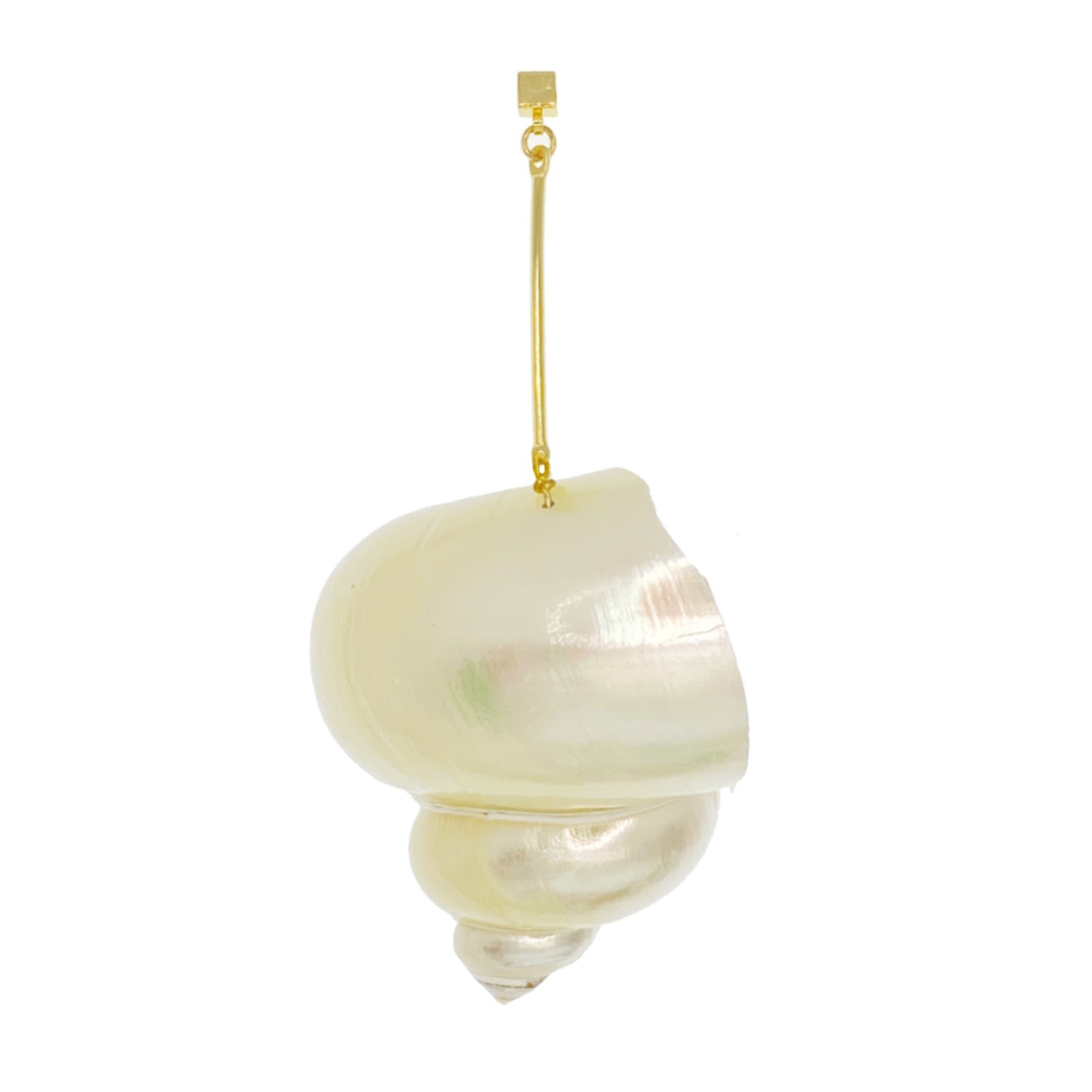 Ninemoo Women's Moonlight Shell Earring - White In White