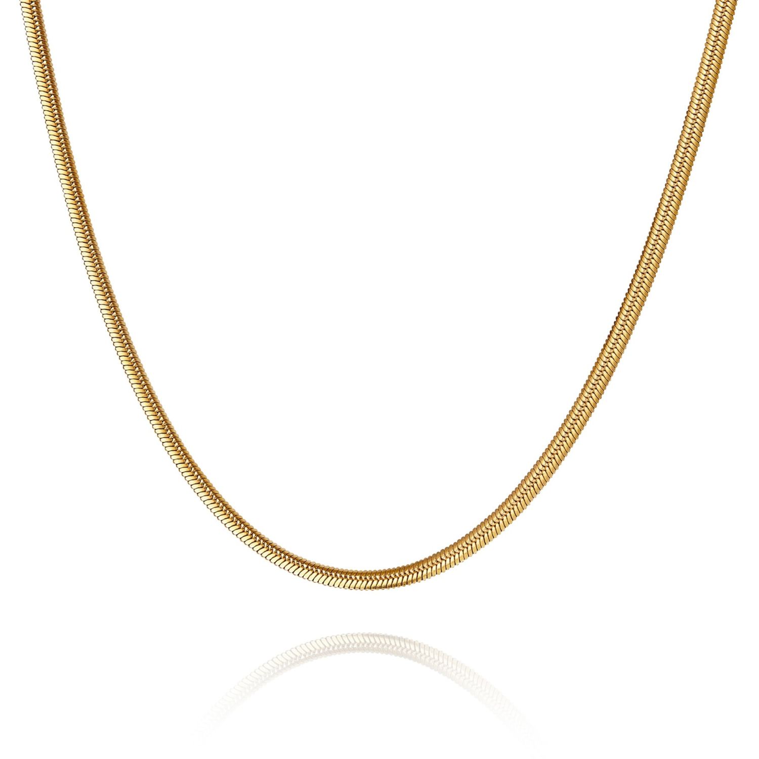 Bermuda Watch Company Women's Annie Apple Tessa Snake Chain Gold Necklace