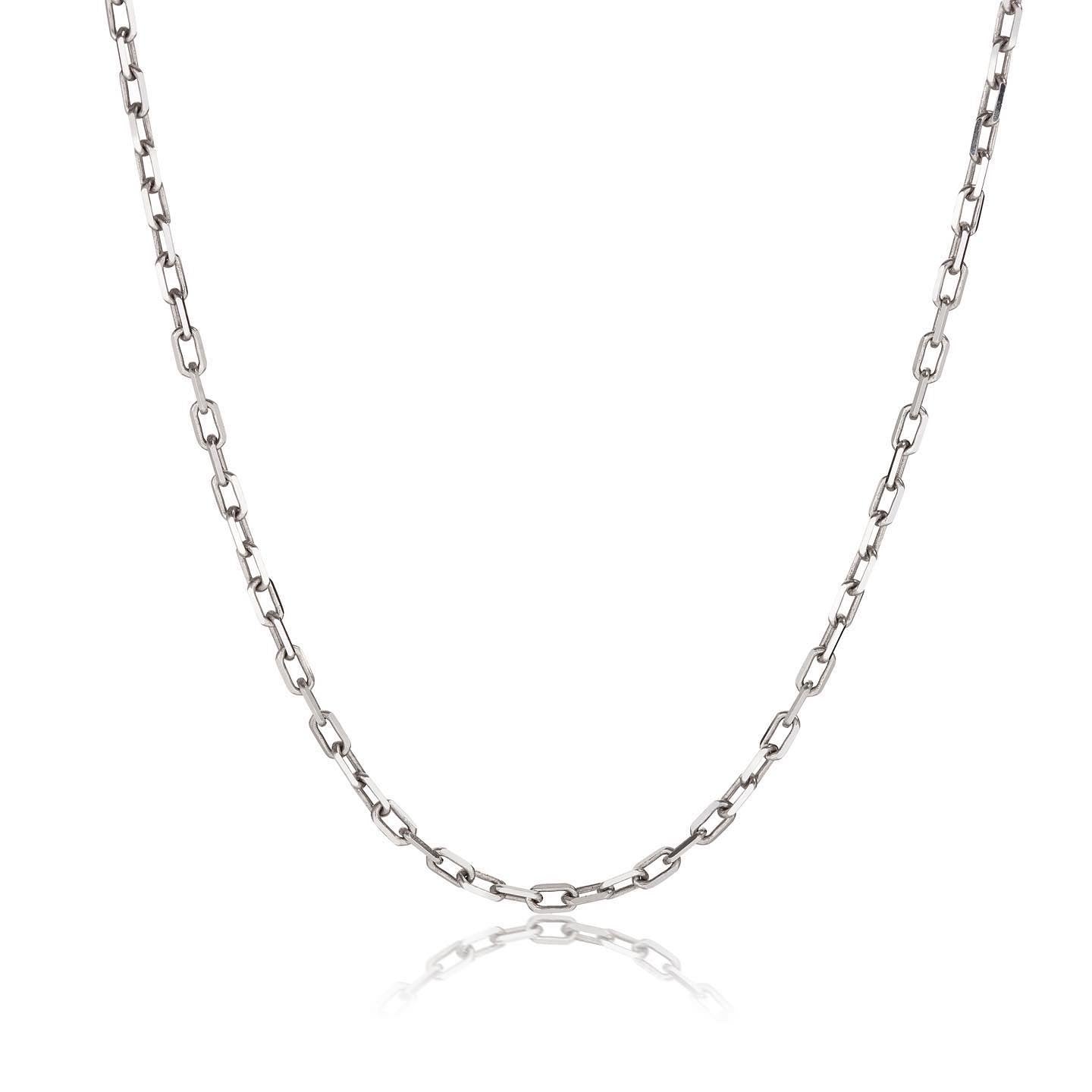 Women’s Silver Long Chain Necklace Sophie Anna