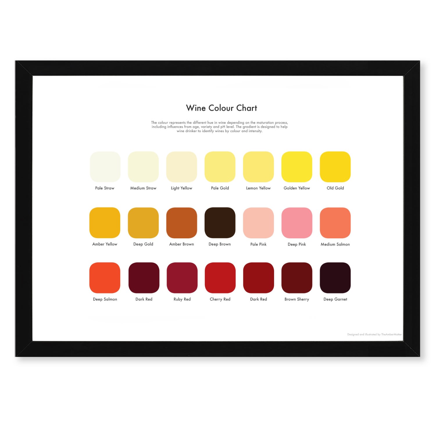 Wine Tasting Colour Map Studio Story