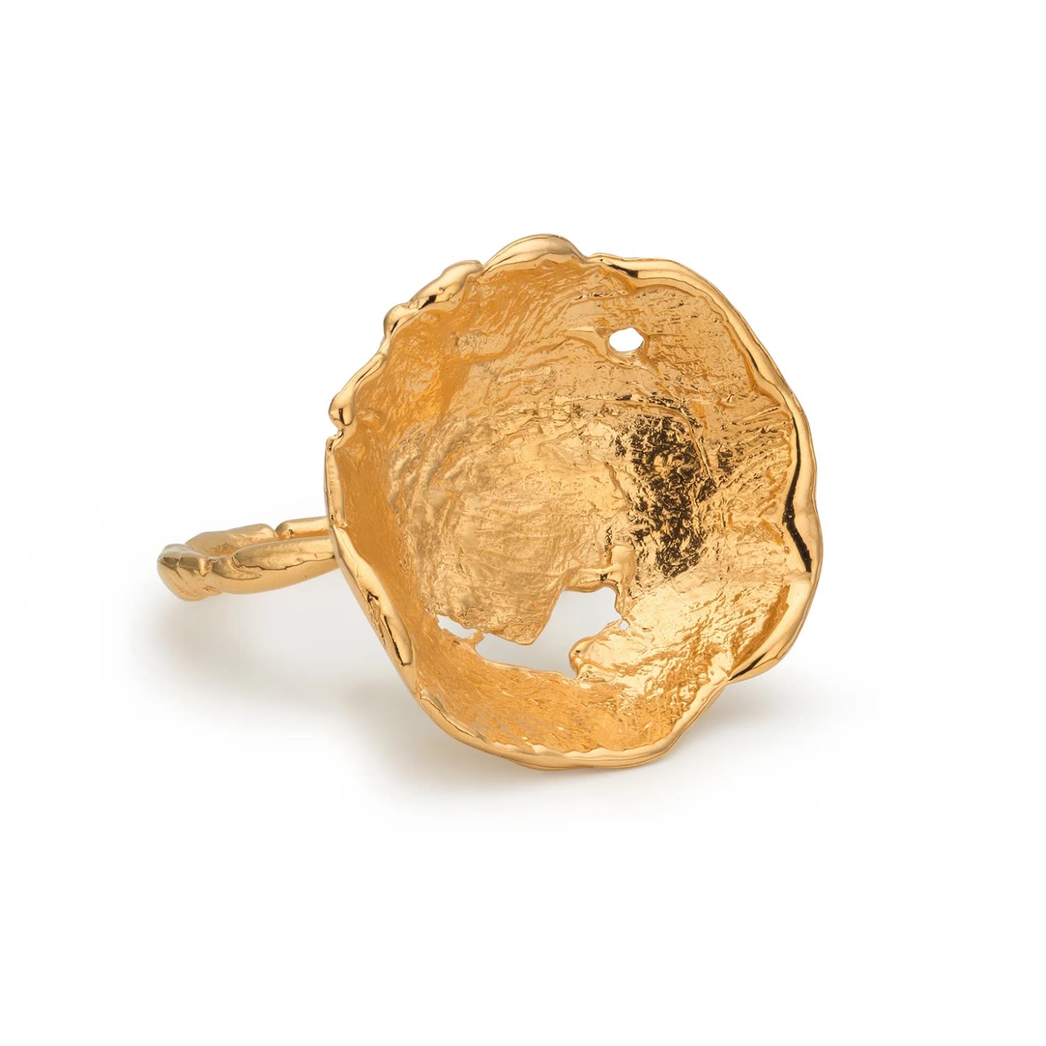 Eva Remenyi Women's Vacation Sun Ring Gold In Brown