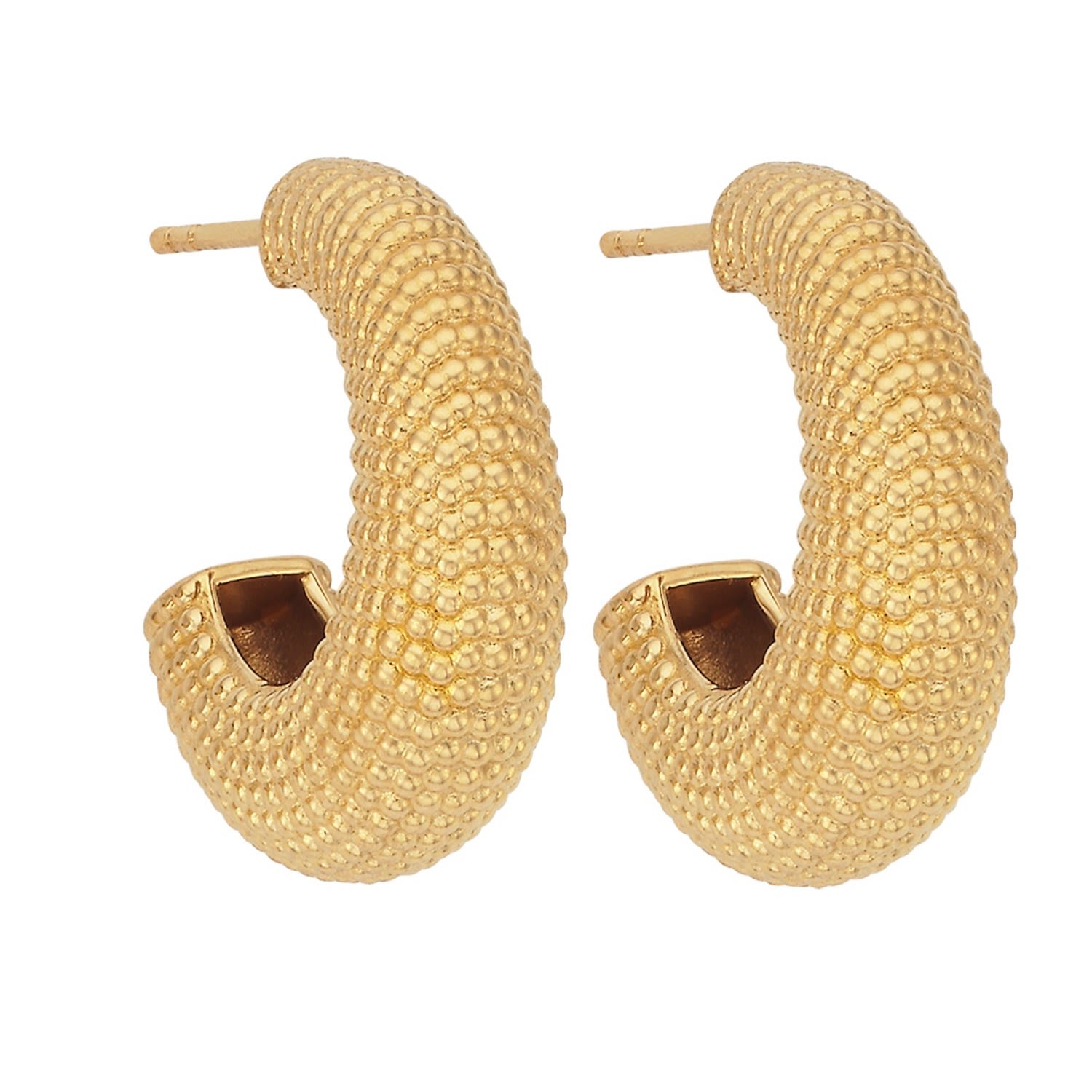 Women’s Rhea Earrings Gold Zoe and Morgan