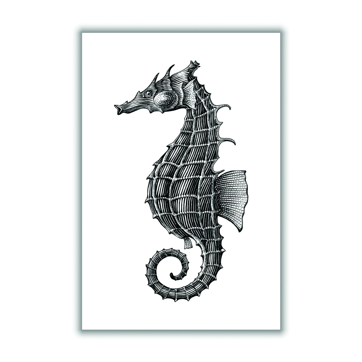 Black Seahorse A2 420 X 594Mm Stanley Print House