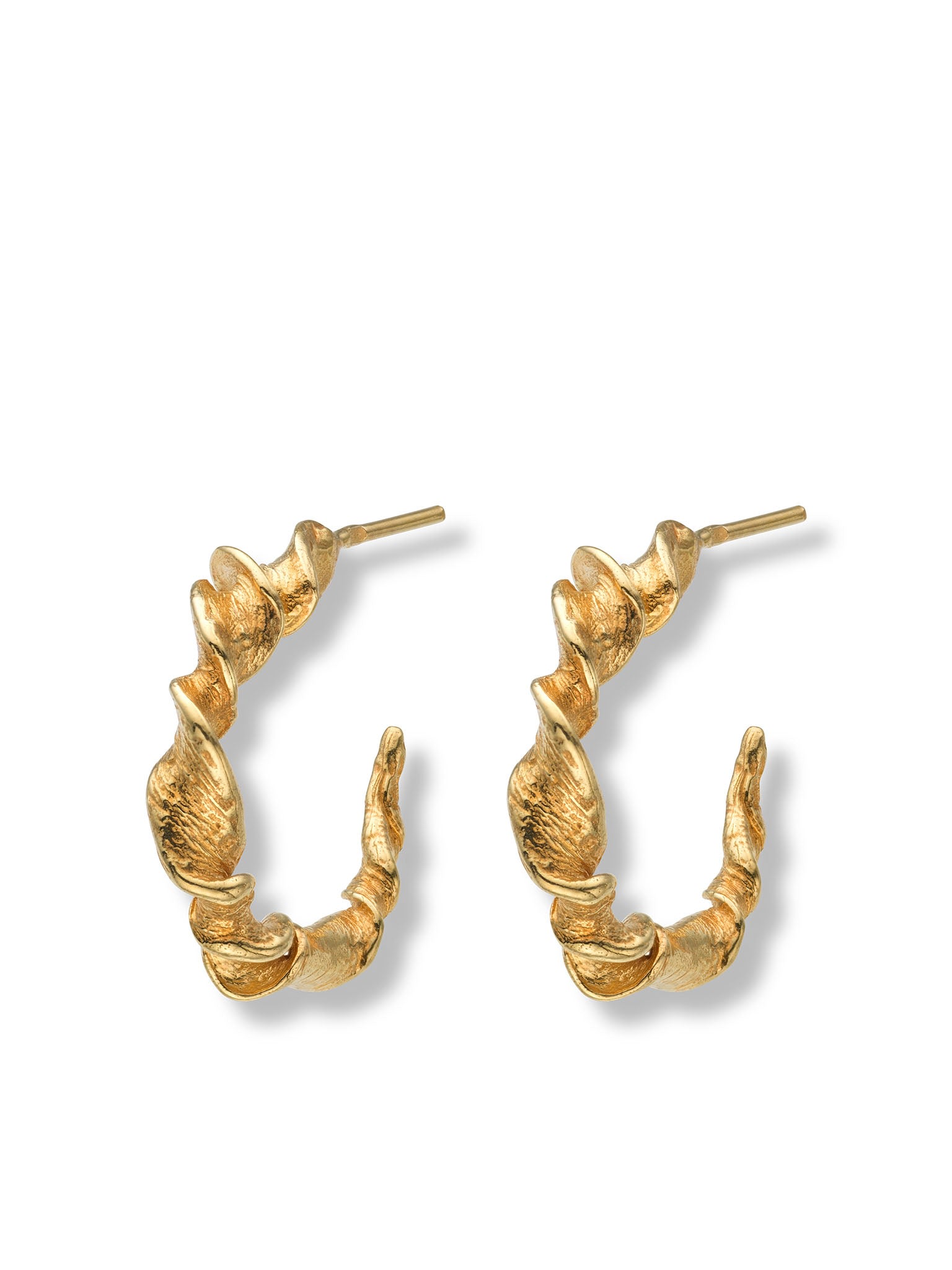 Shop Eva Remenyi Women's Twisted Hoop Earrings 14 Ct Gold