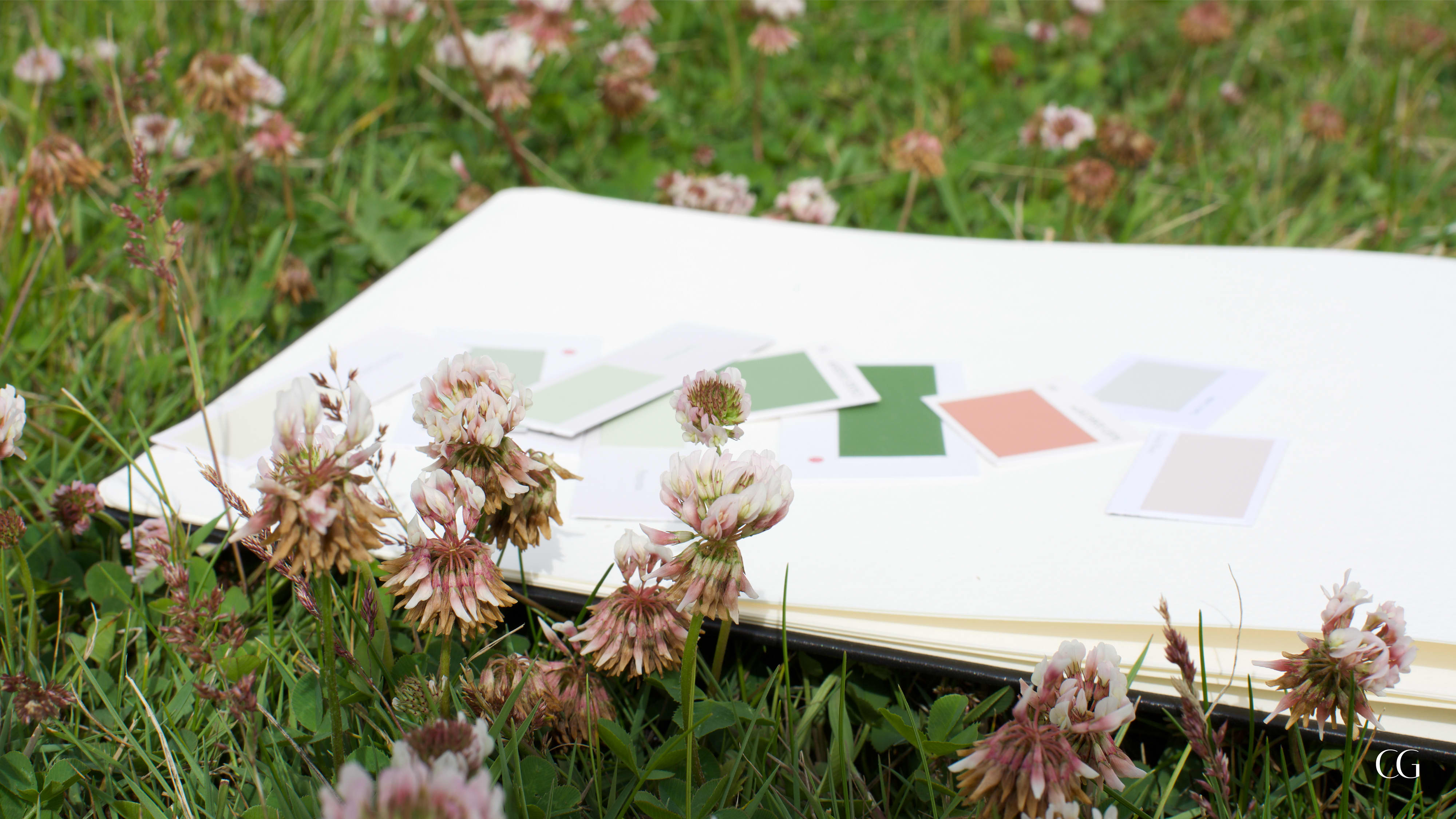 What is Biophilic Design? And How Important is Colour in Our Homes