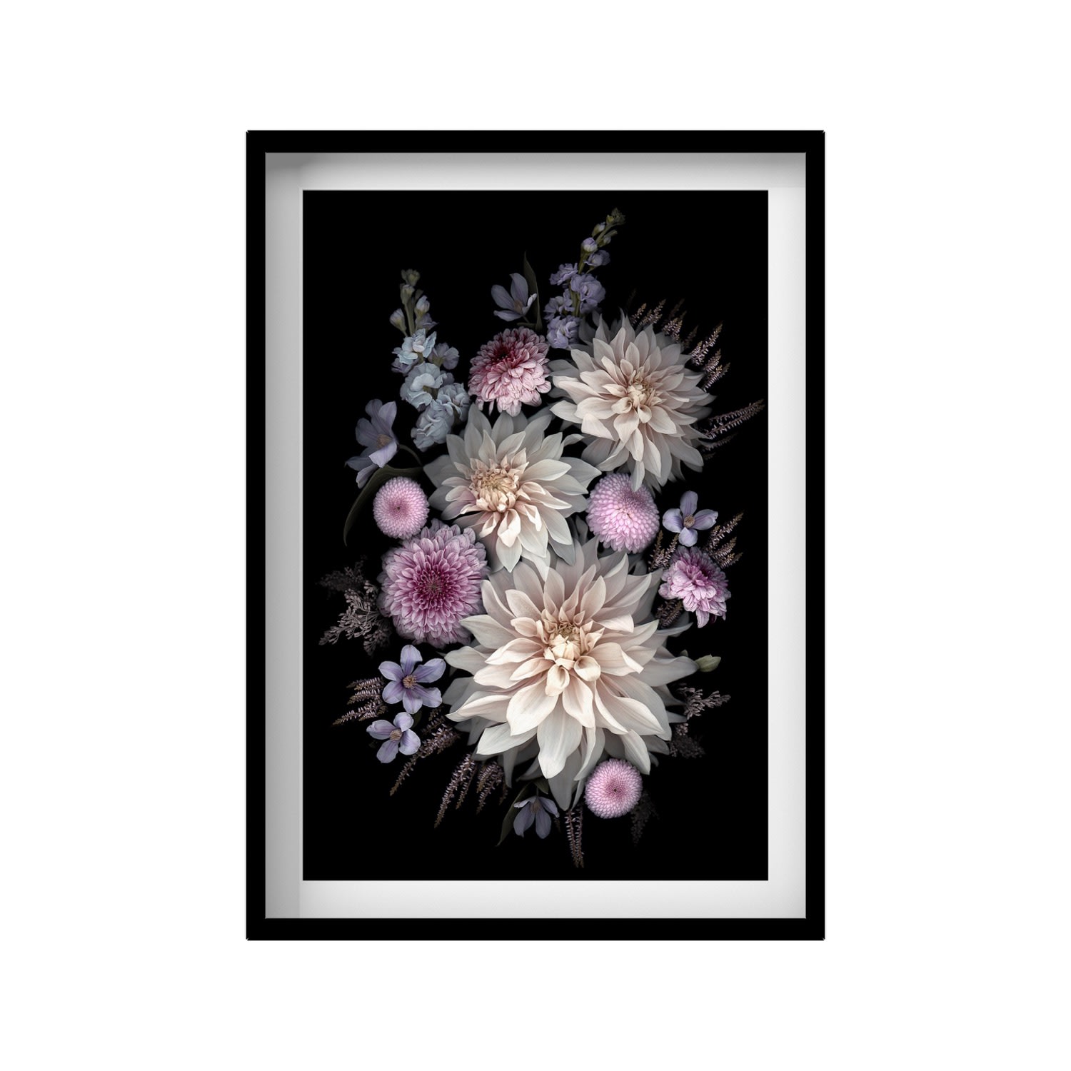 Black / Pink / Purple Dahlia Large Print A2 420 X 594Mm Francesca Wild