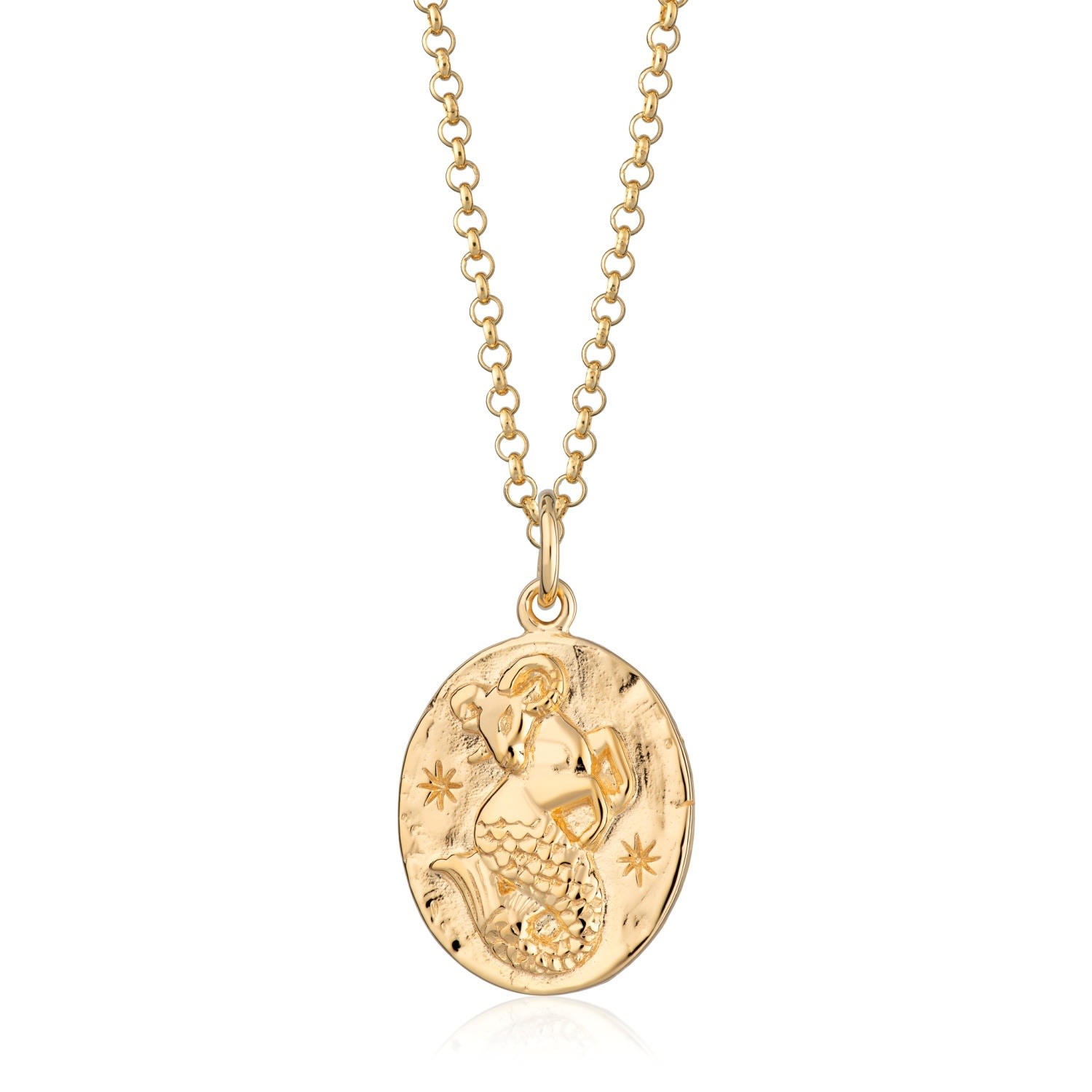 Women’s Gold Capricorn Zodiac Necklace Scream Pretty