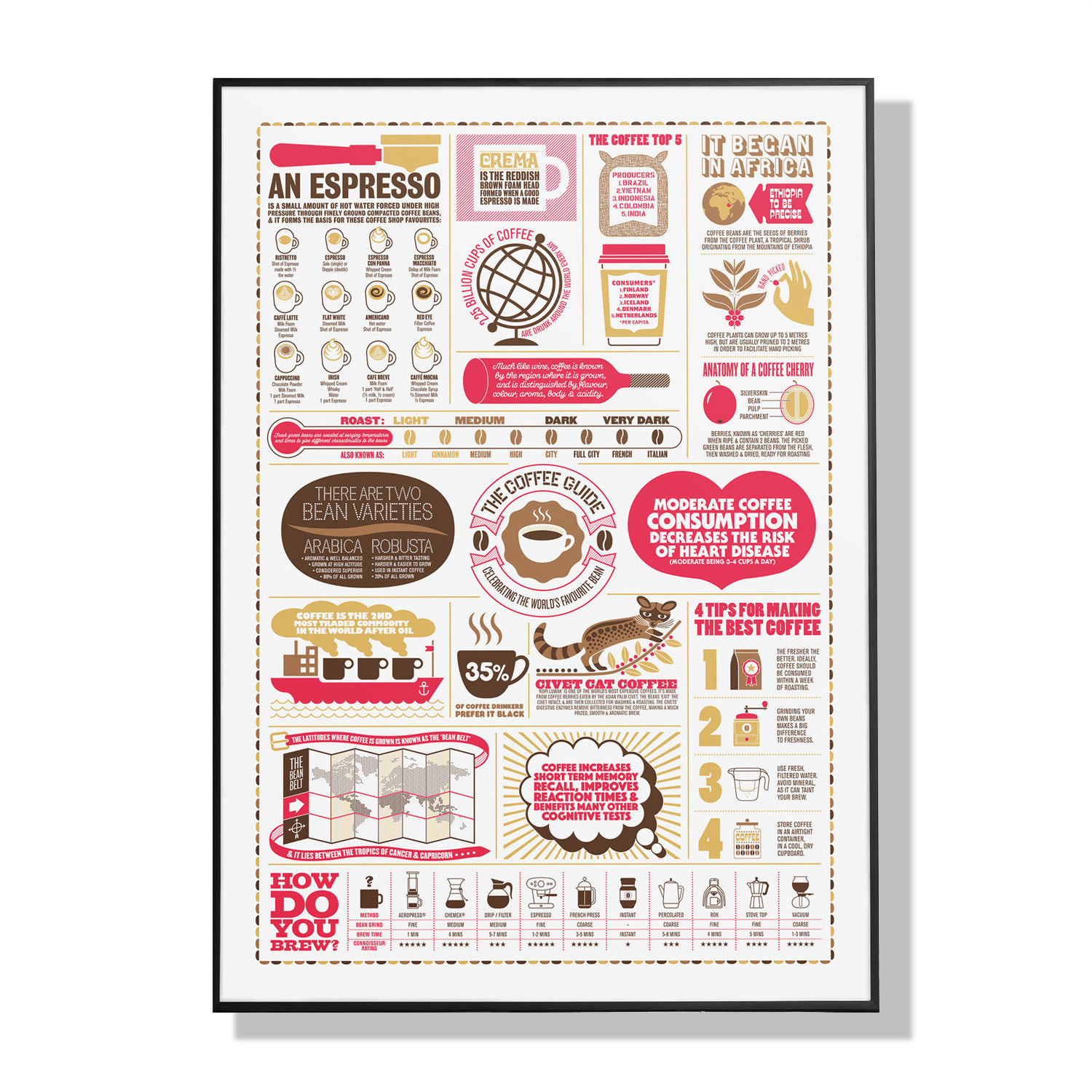 The Coffee Guide A2 Print Stuart Gardiner Design