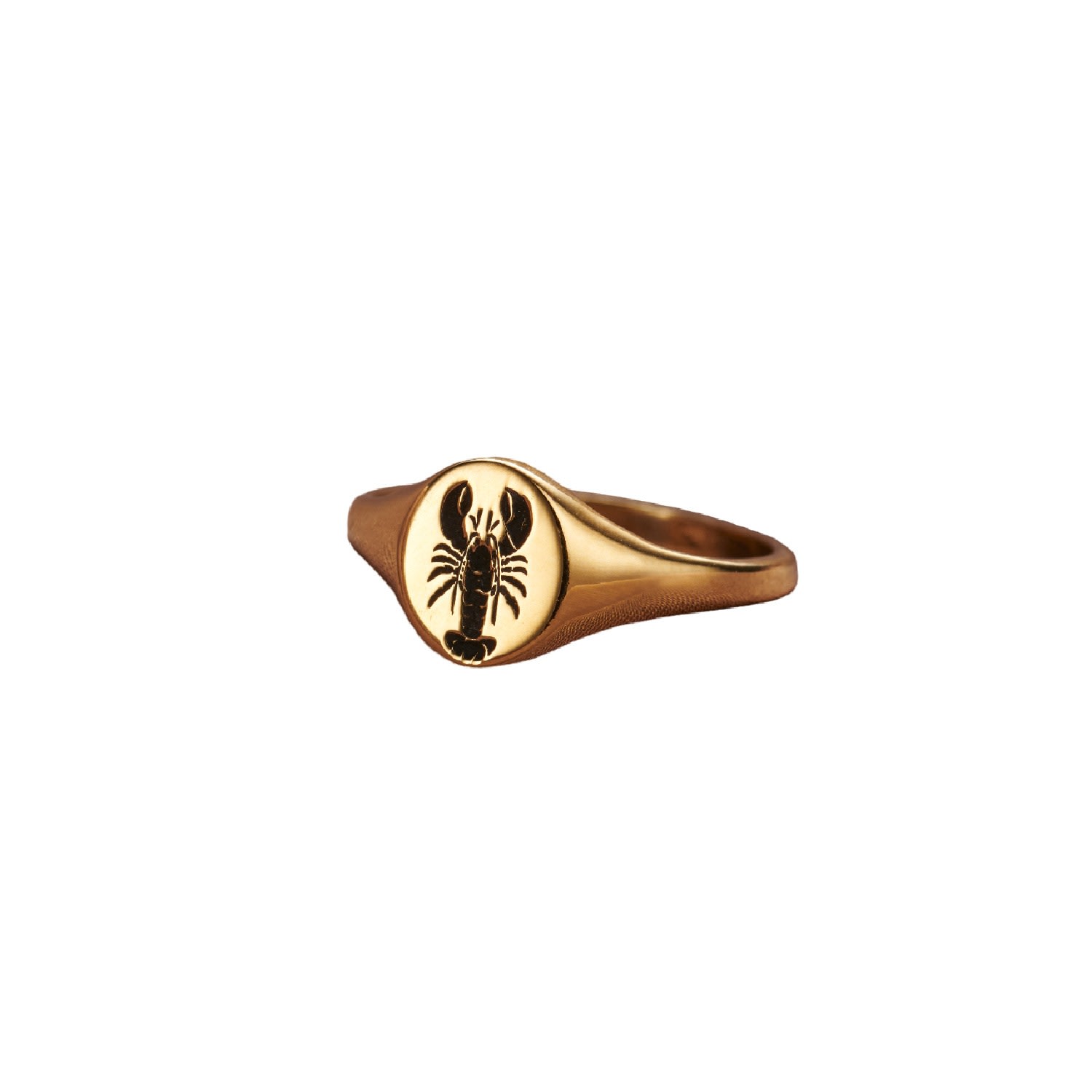 Women’s Yellow Gold Plated Lobster Signet Ring Posh Totty Designs