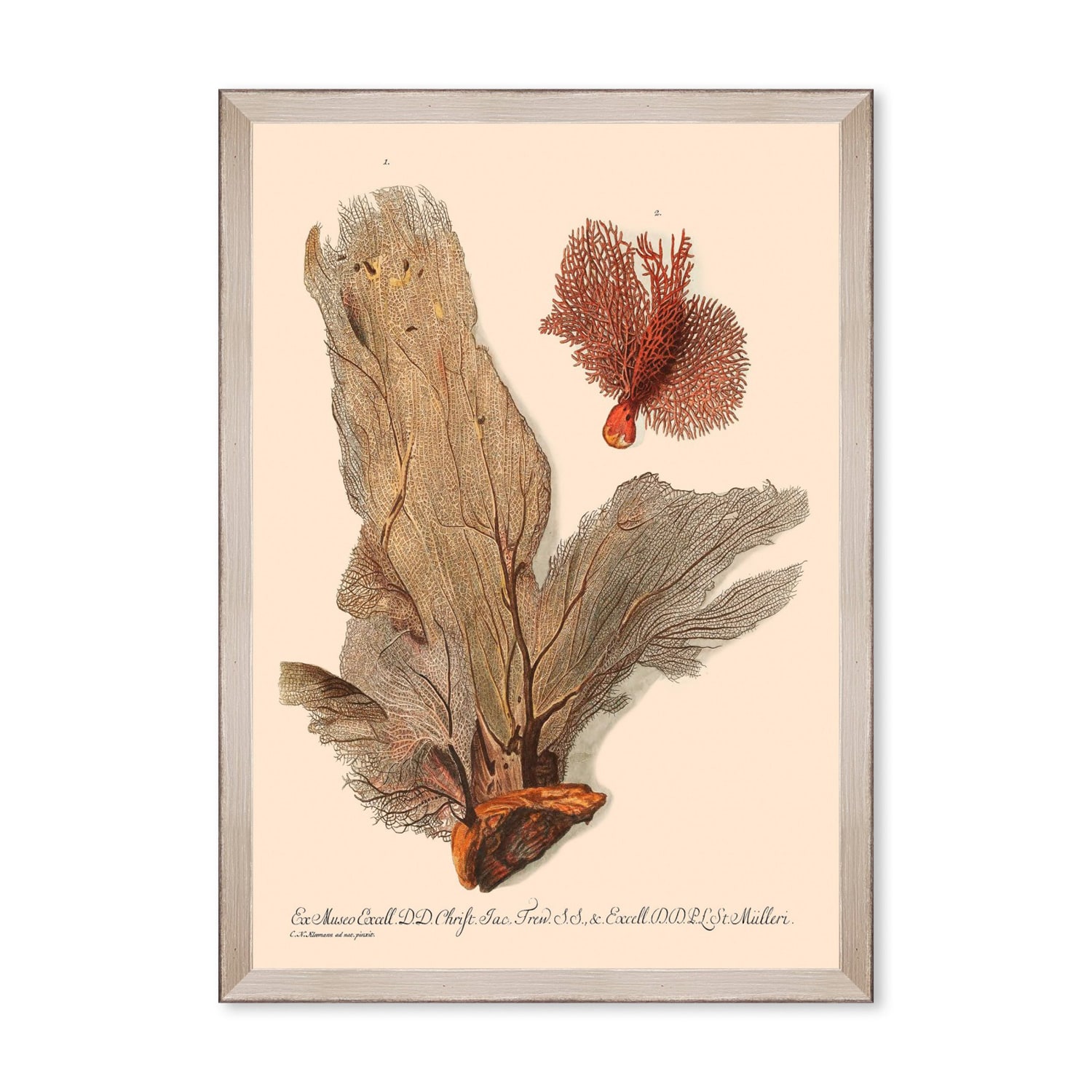 Mindthegap Neutrals Deliciae Naturale Five Framed Art In Multi