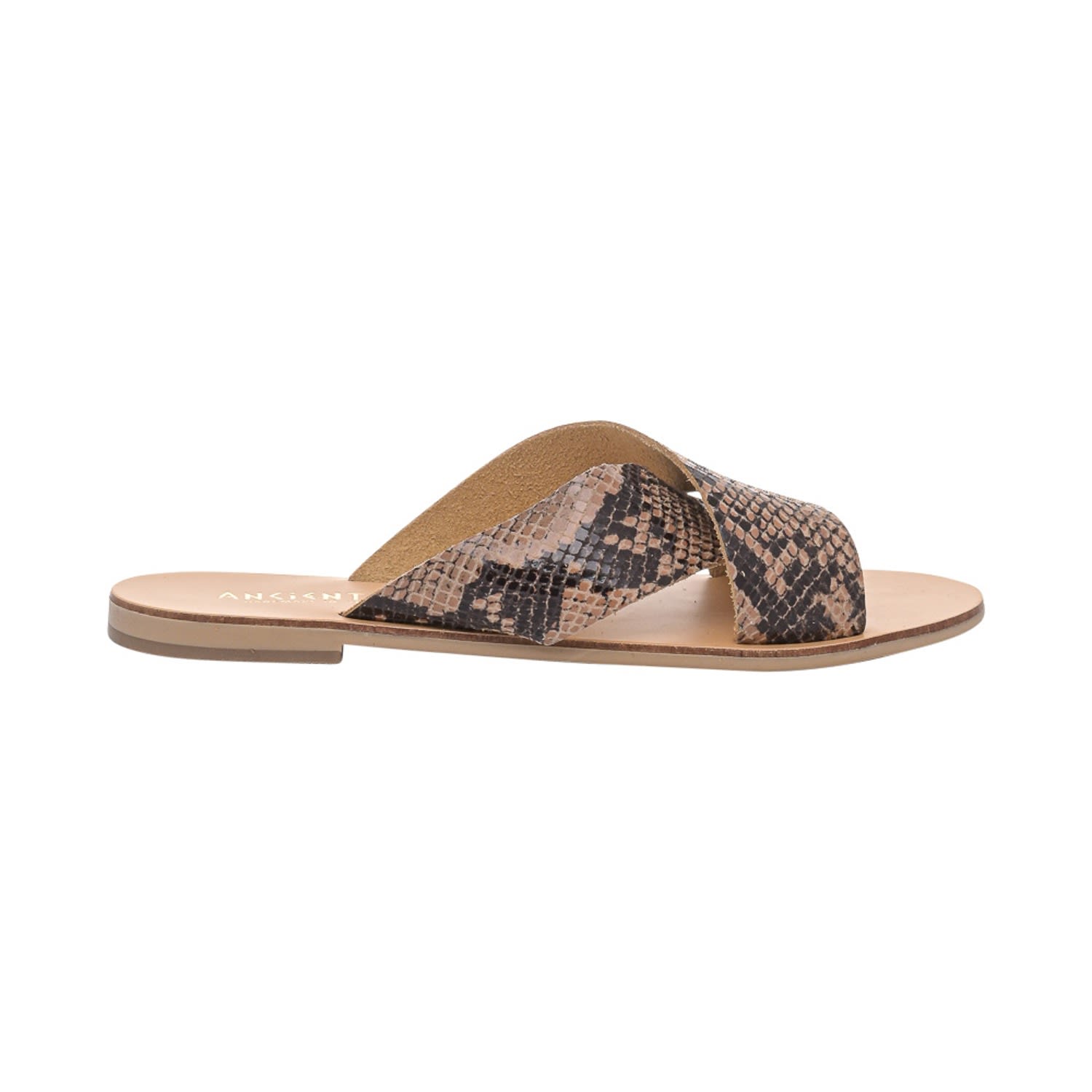 Ancientoo Women's Brown Enyo Python Print Leather Slide Shoe In Animal Print