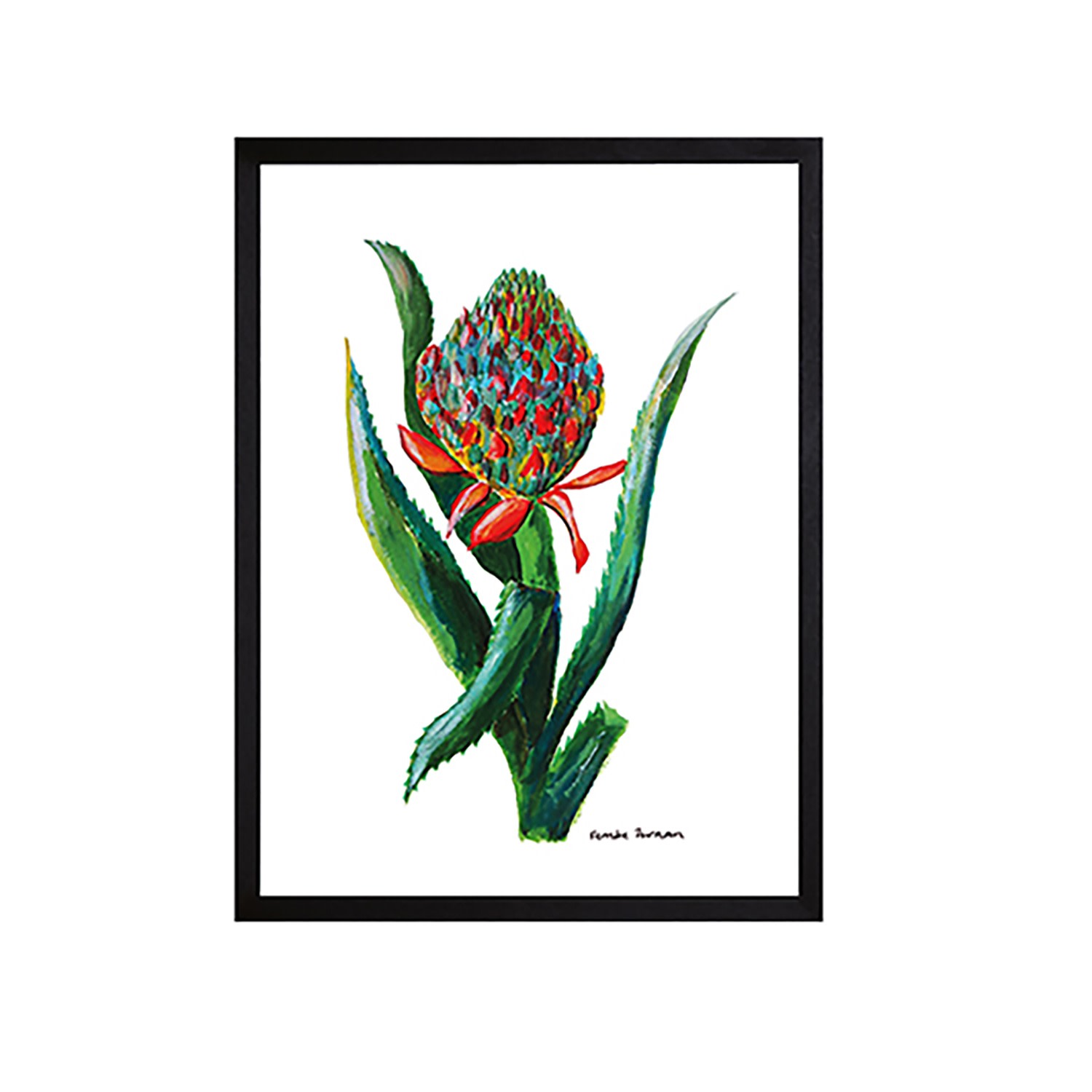 White Pineapple Plant Fine Art Print A3 Catchii