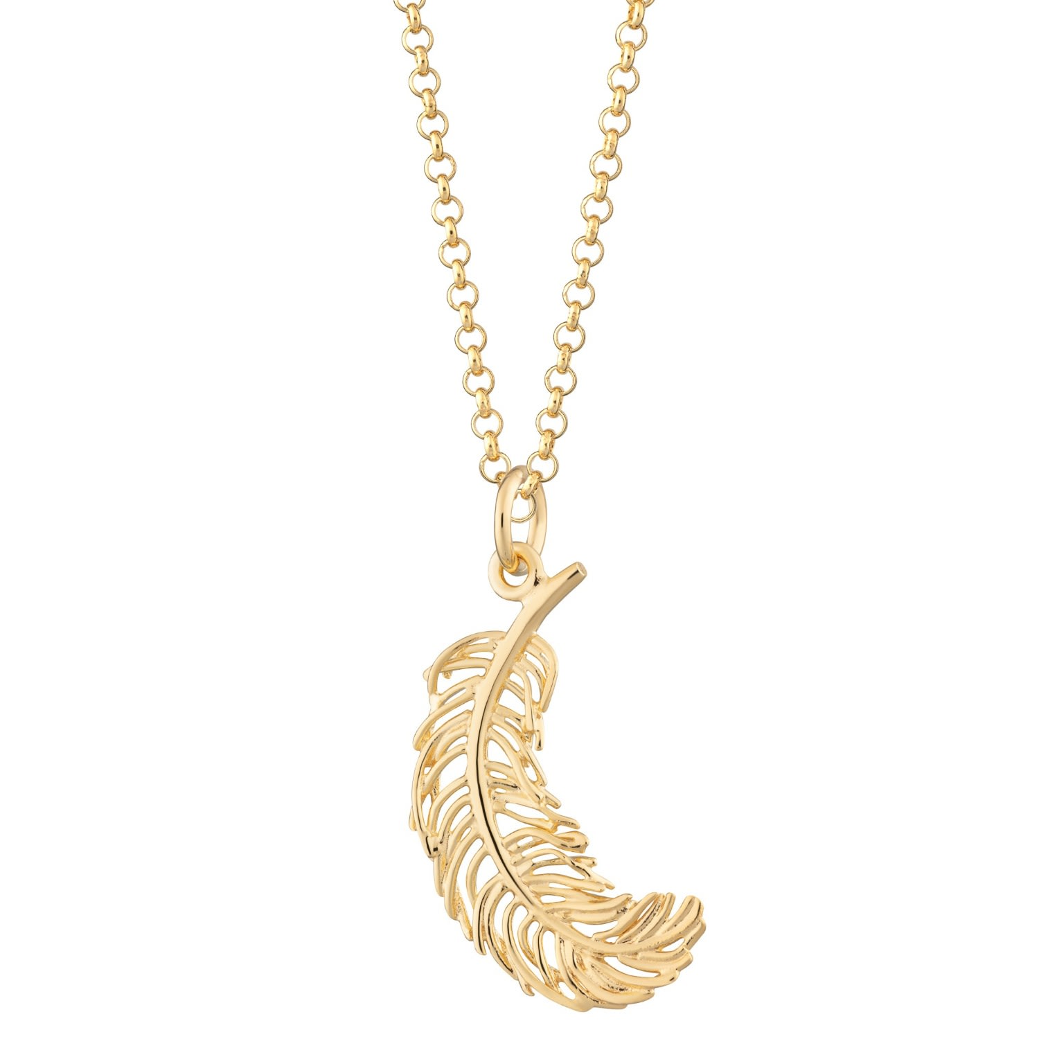 Women’s Large Gold Plated Feather Necklace Lily Charmed