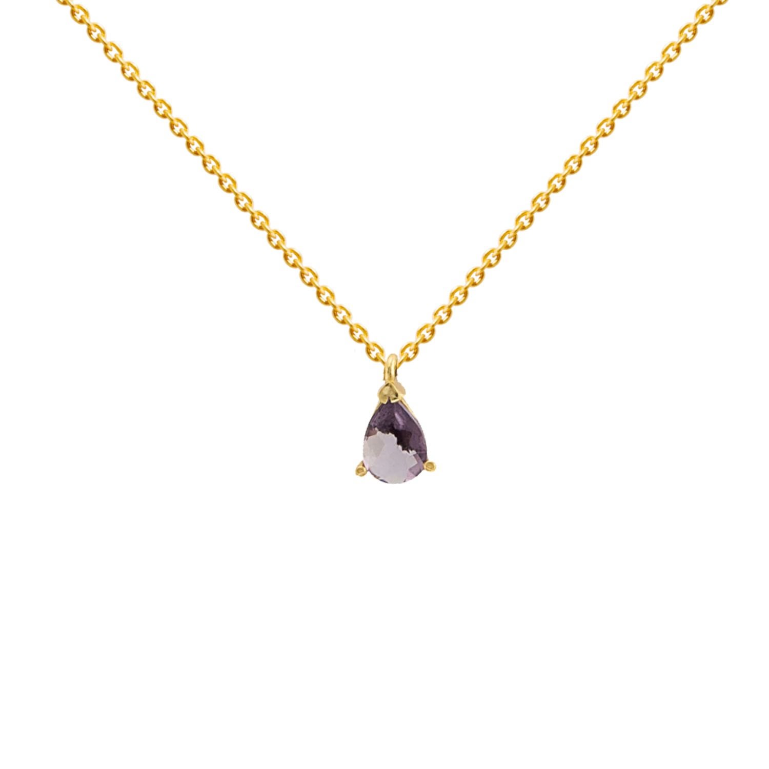 Lavani Jewels Women's Purple / Gold Purple Pride Mini Necklace