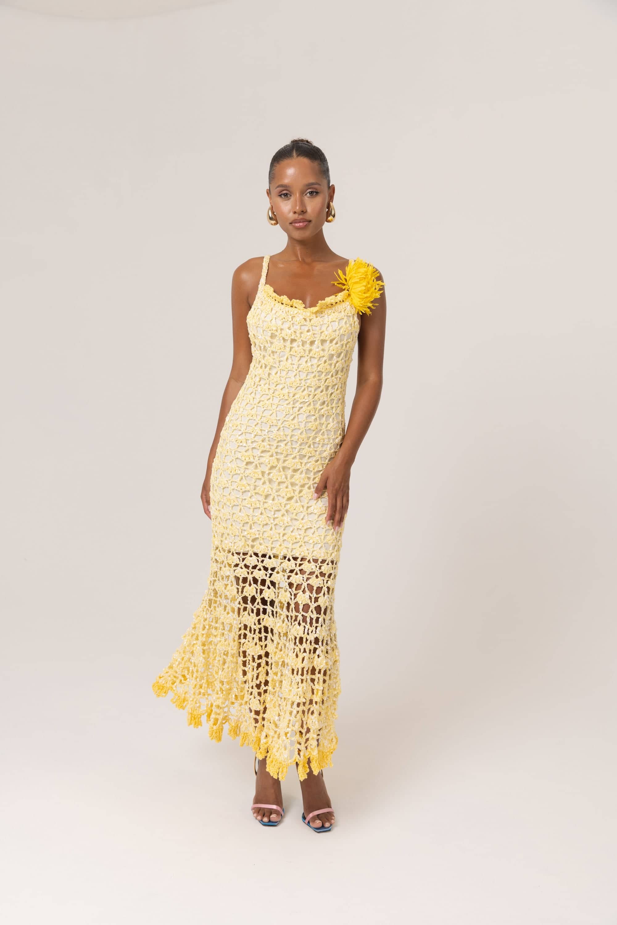 butter-yellow-chrysanthemum-