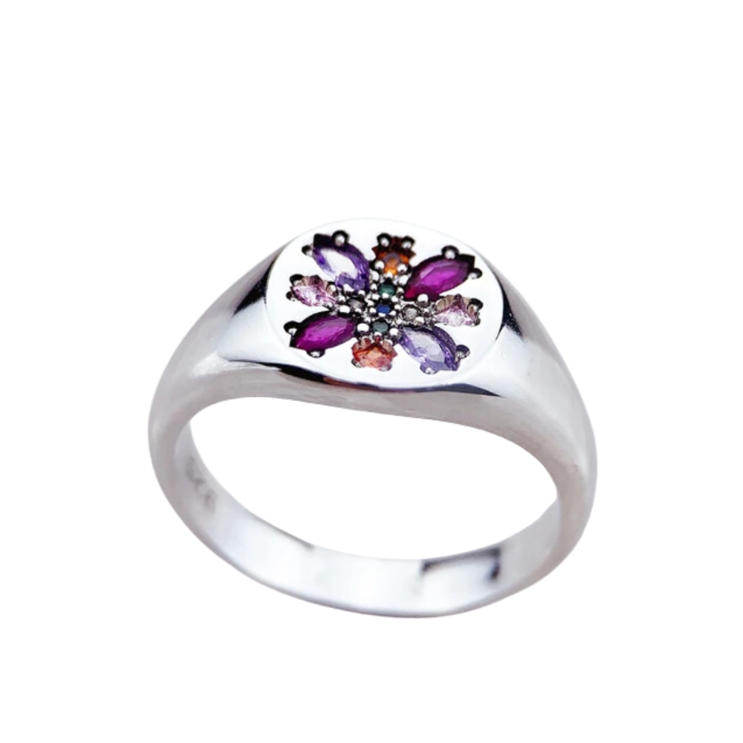 Recreation Jewels Women's Ruby's Signet Ring In Silver In Multi