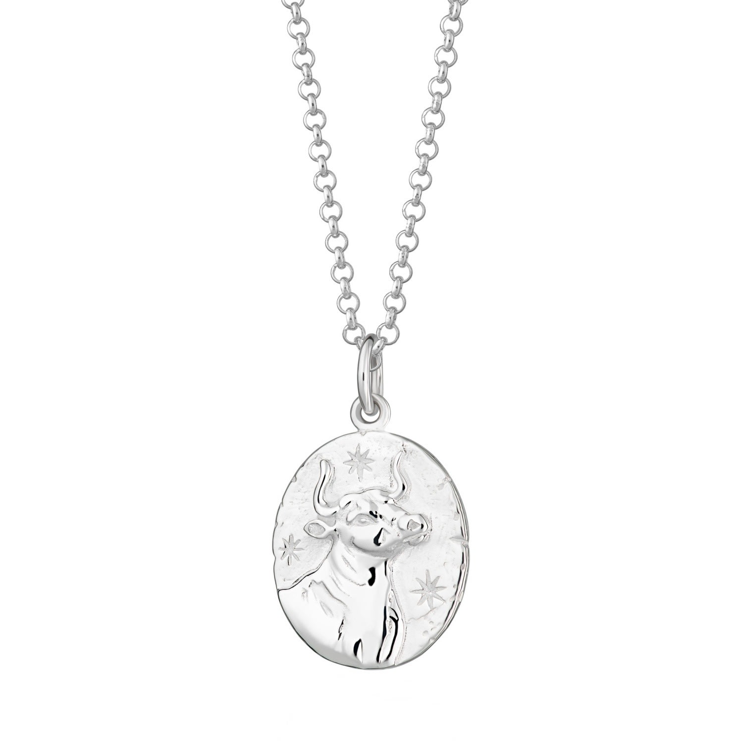 Women’s Silver Taurus Zodiac Necklace Scream Pretty