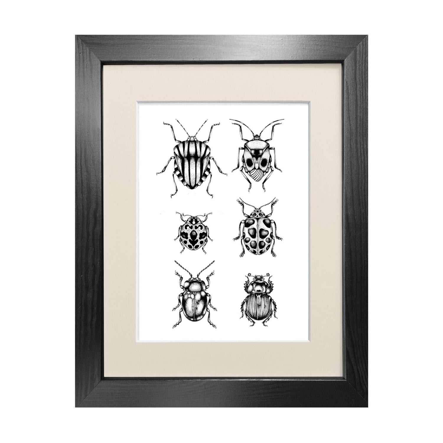 Black ’British Beetles’ Fine Art Print A3 Emily Carter