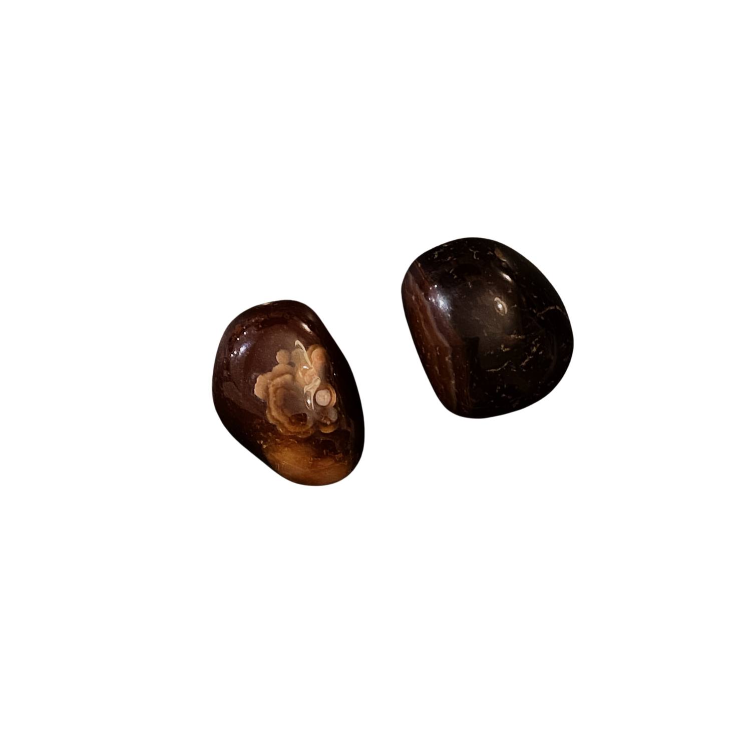Lemuria Store Brown / Red Red Jasper Piece In Multi