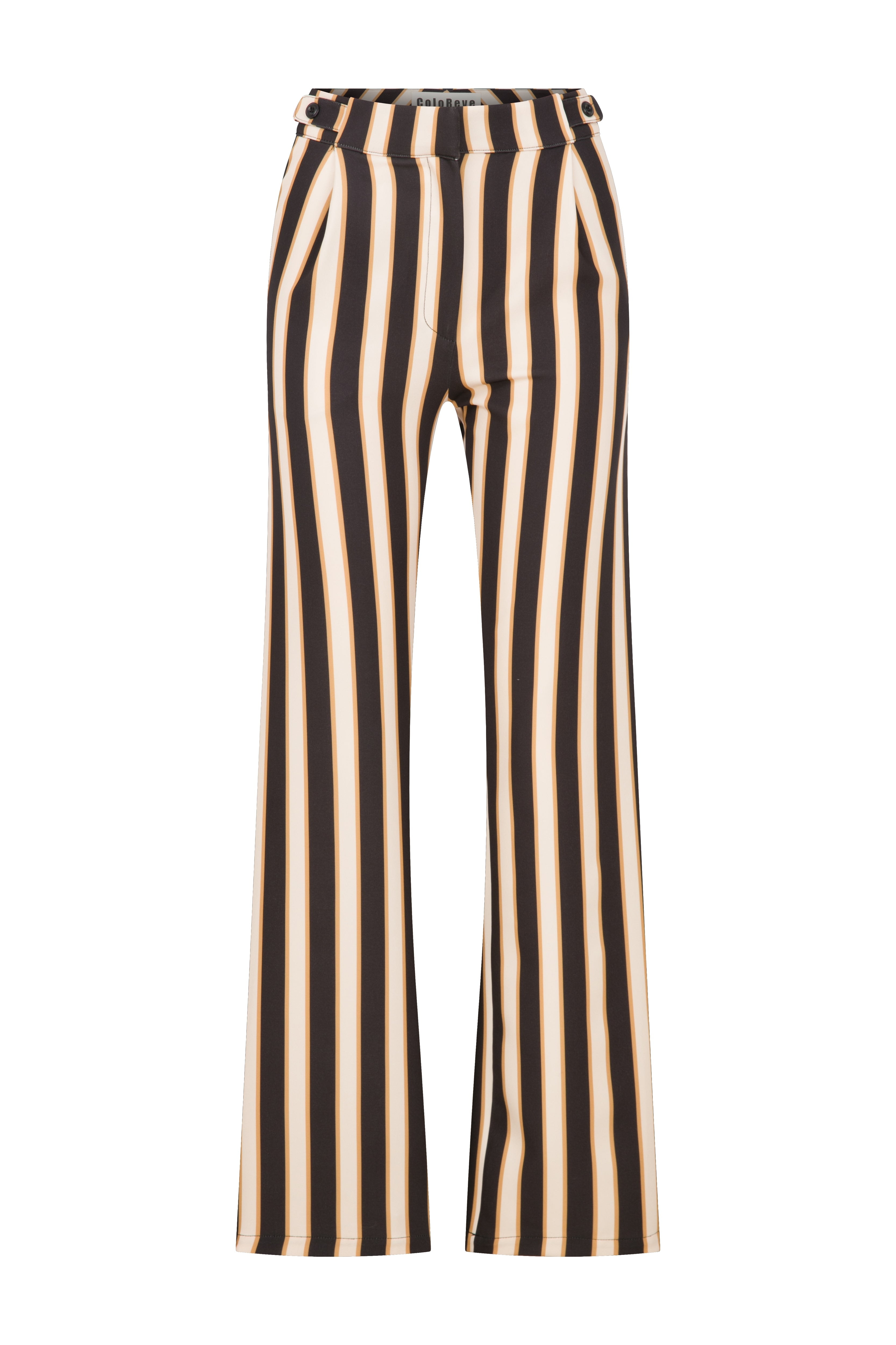 Coloreve Women's Brown Lined Pants In Brown