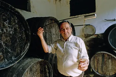 Sherry-Probe, Jerez de la Frontera