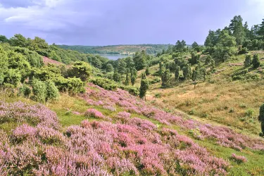 Rebild Bakker Nationalpark